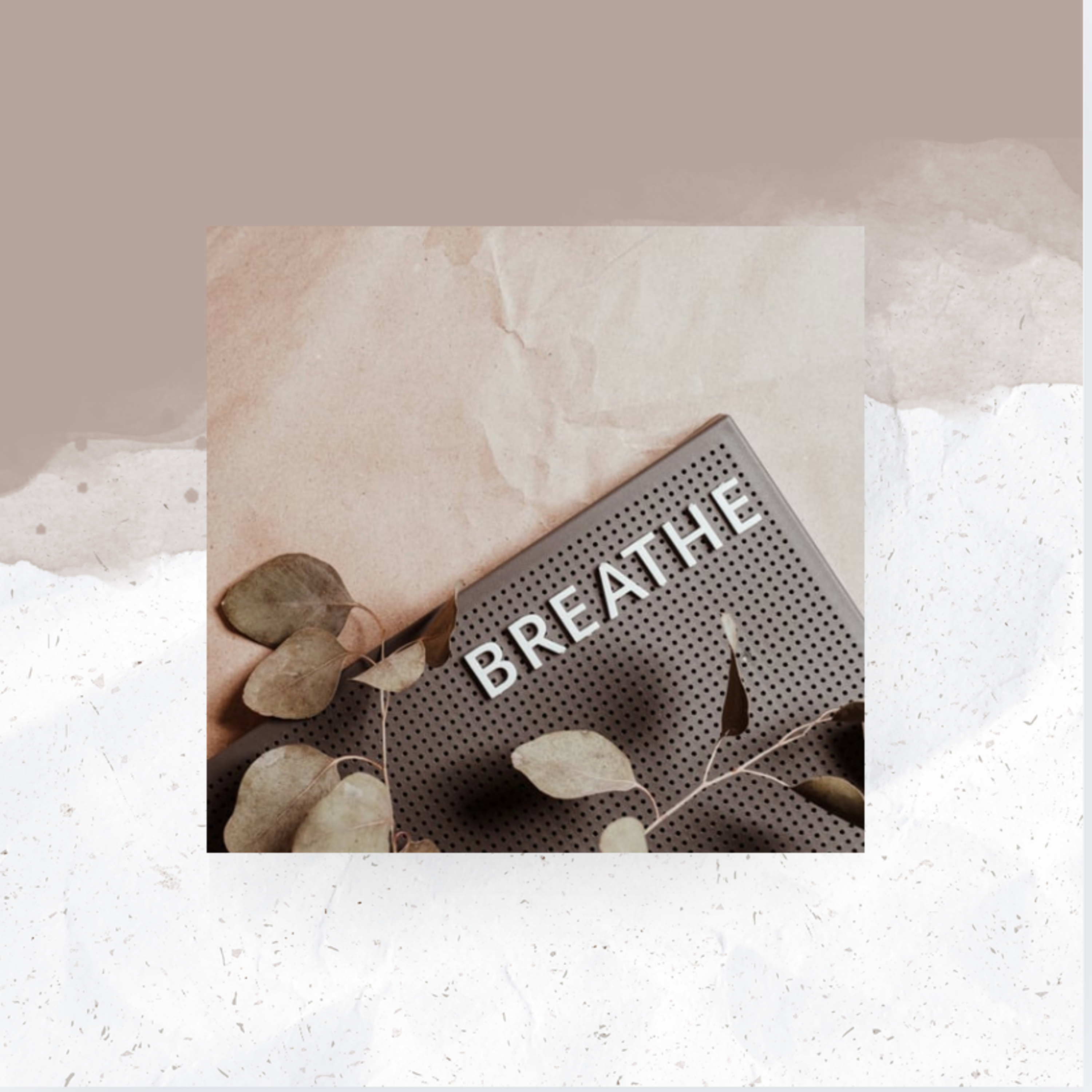 Guided Meditations