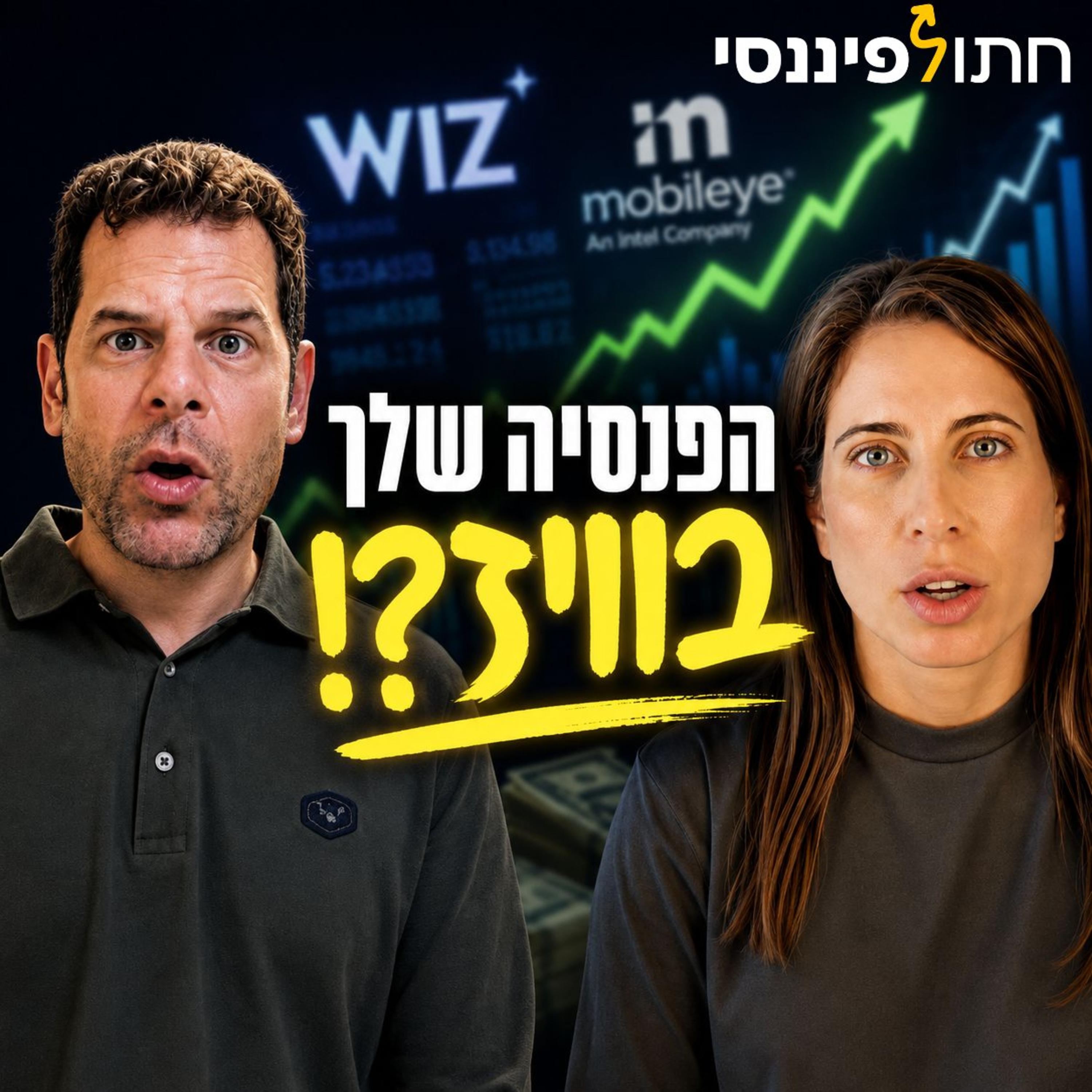חתול פיננסי