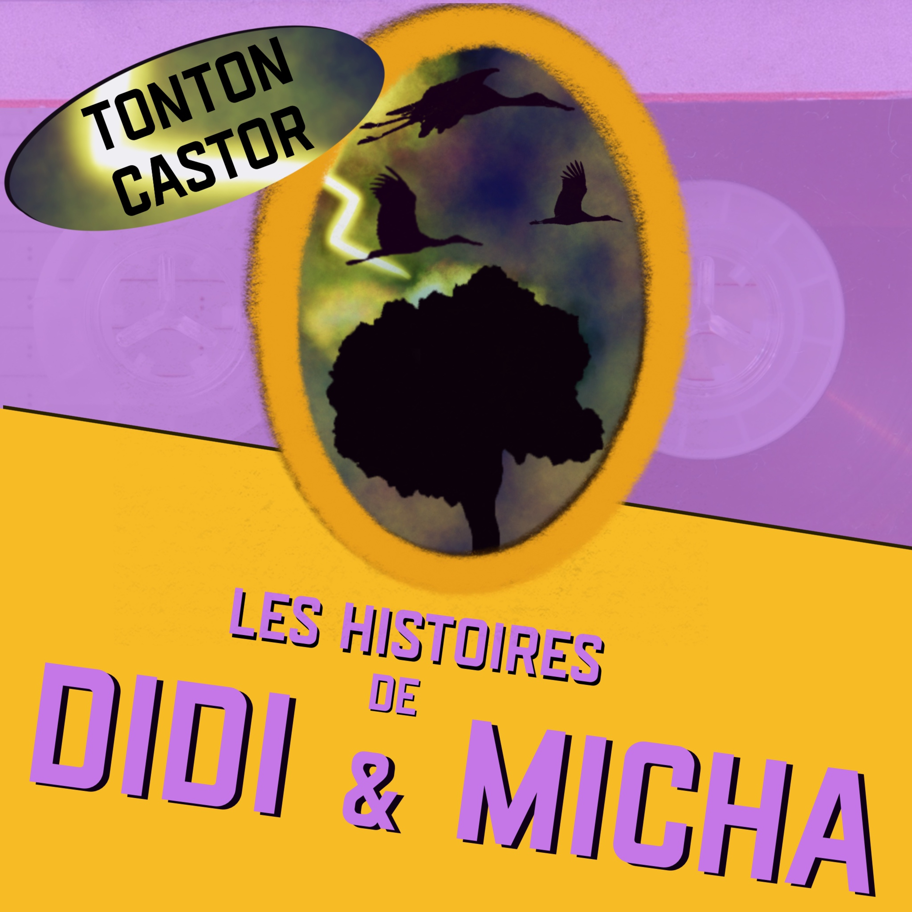 Les Histoires de Didi et Micha