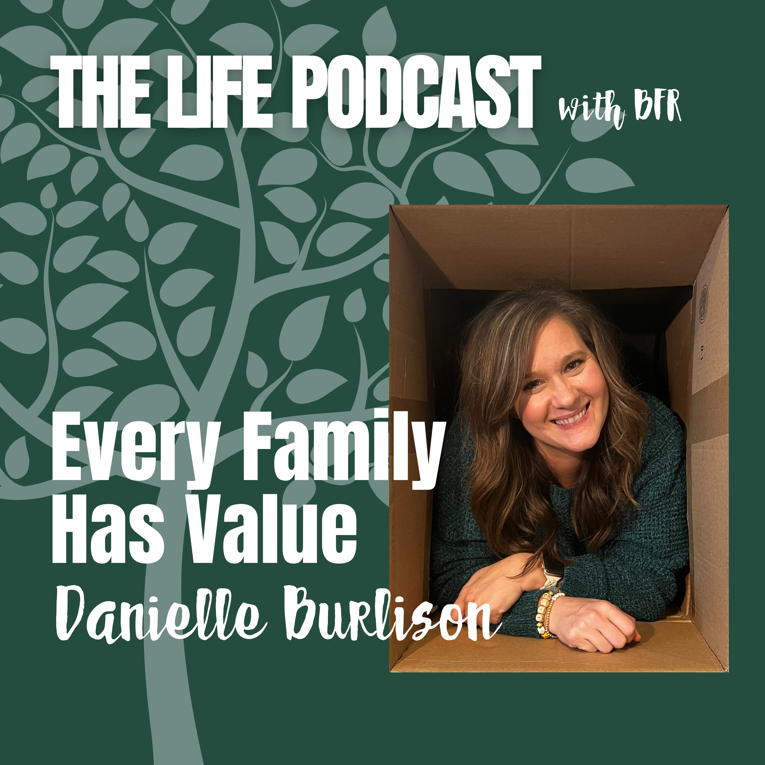 Every Family Has Value episode artwork