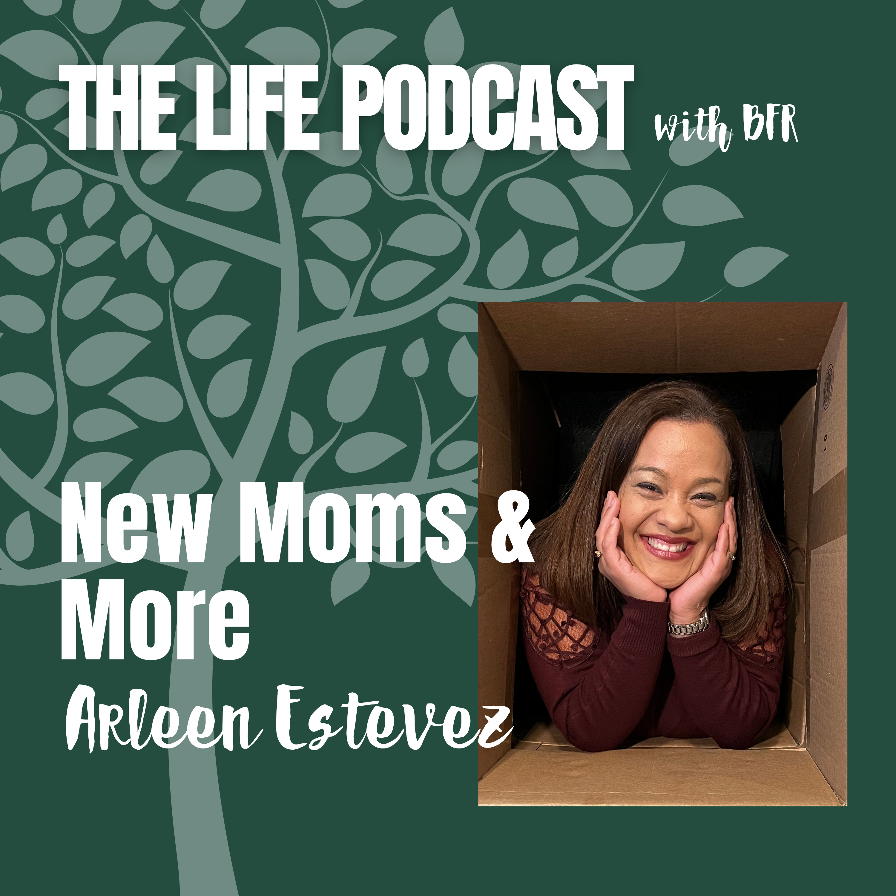 New Moms and More episode artwork