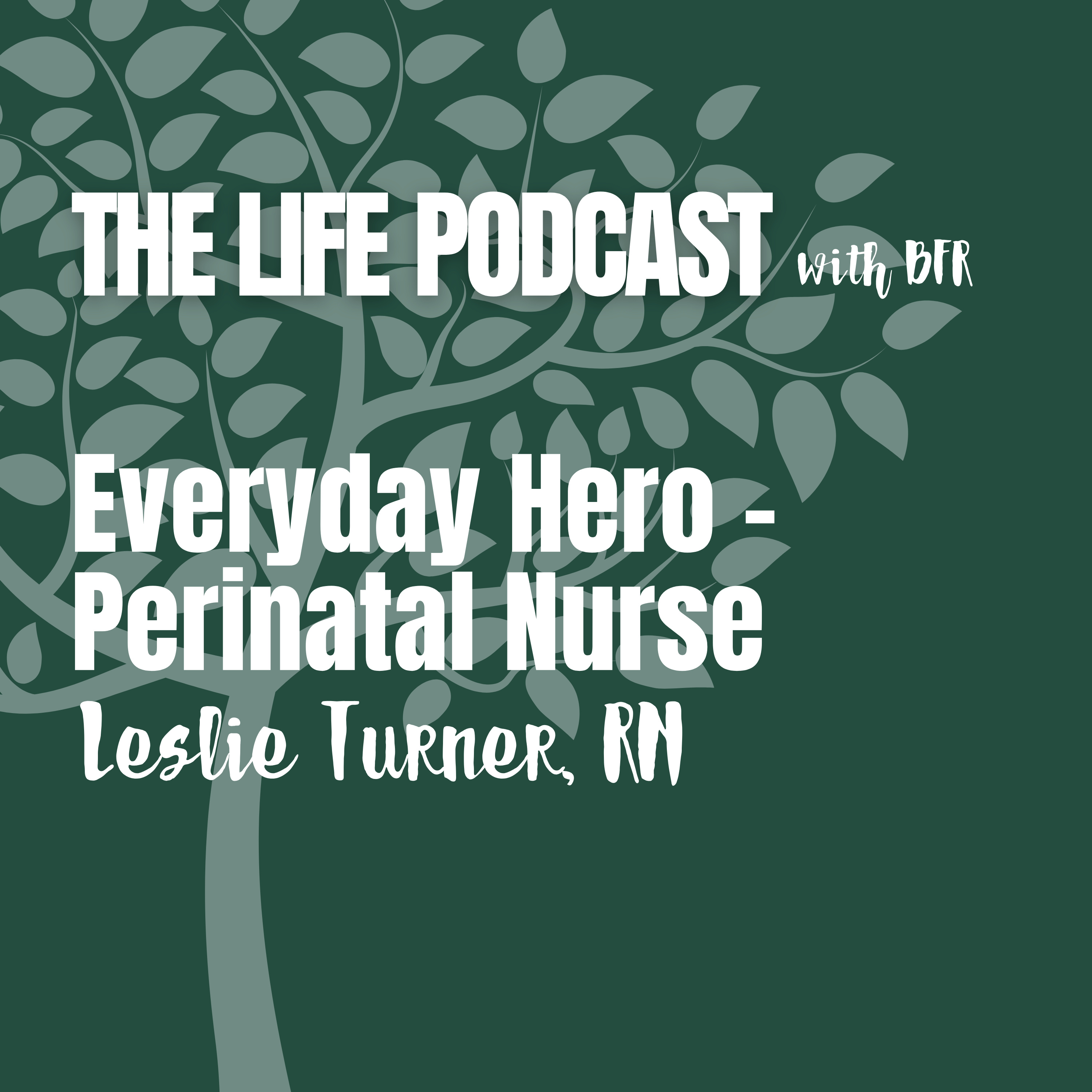 Everyday Hero - Perinatal Nurse episode artwork