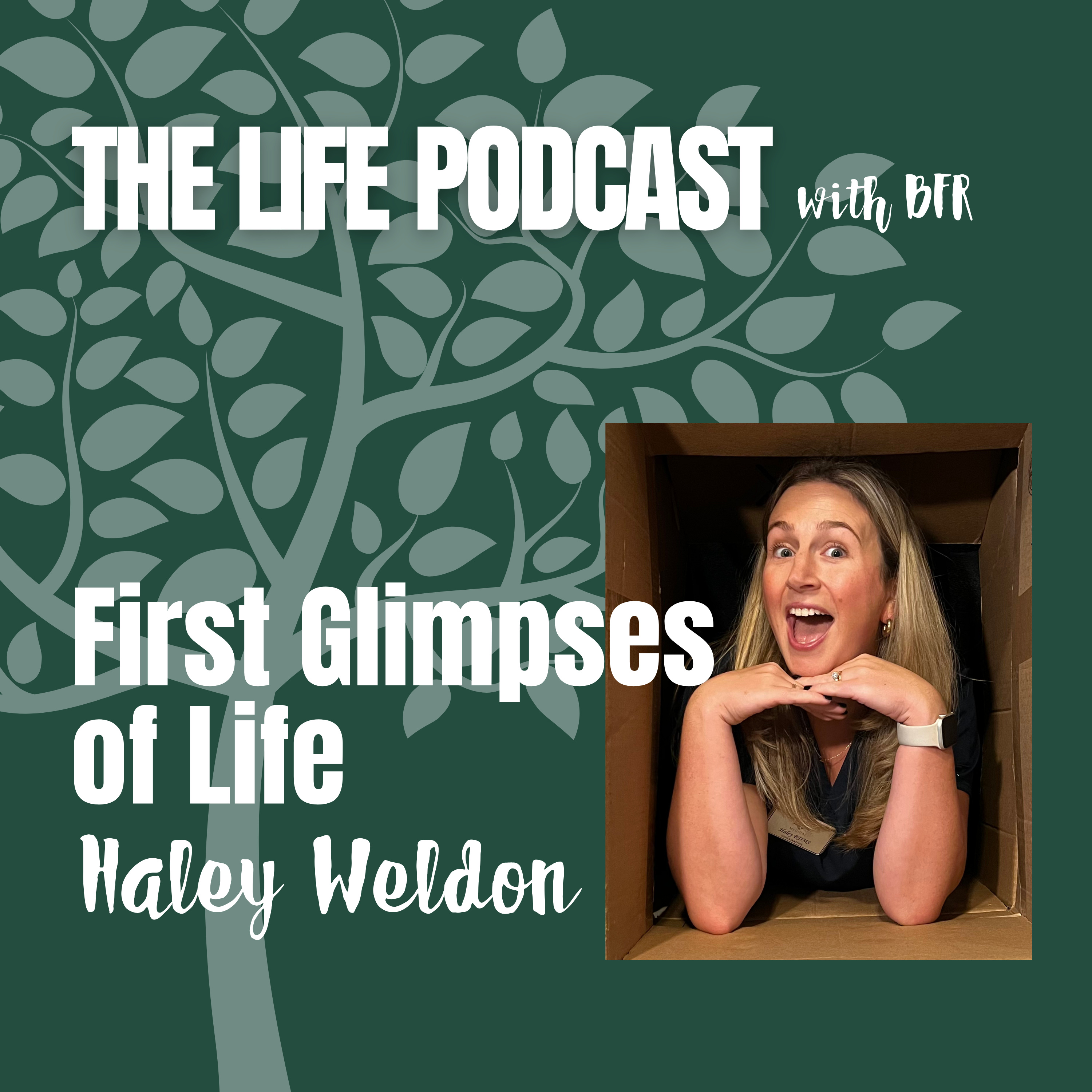 First Glimpses of Life episode artwork