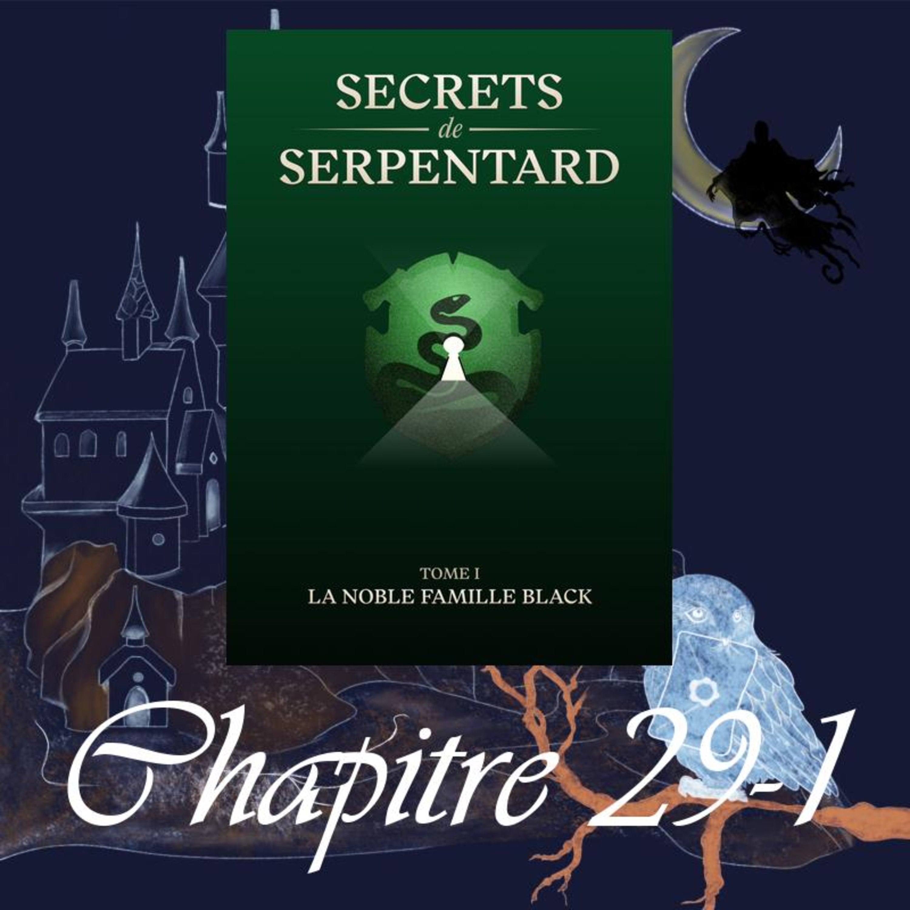 Secrets de Serpentards - Tome 1 - Chap. 29 - Mrs Narcissa Malefoy - Partie 1 episode artwork