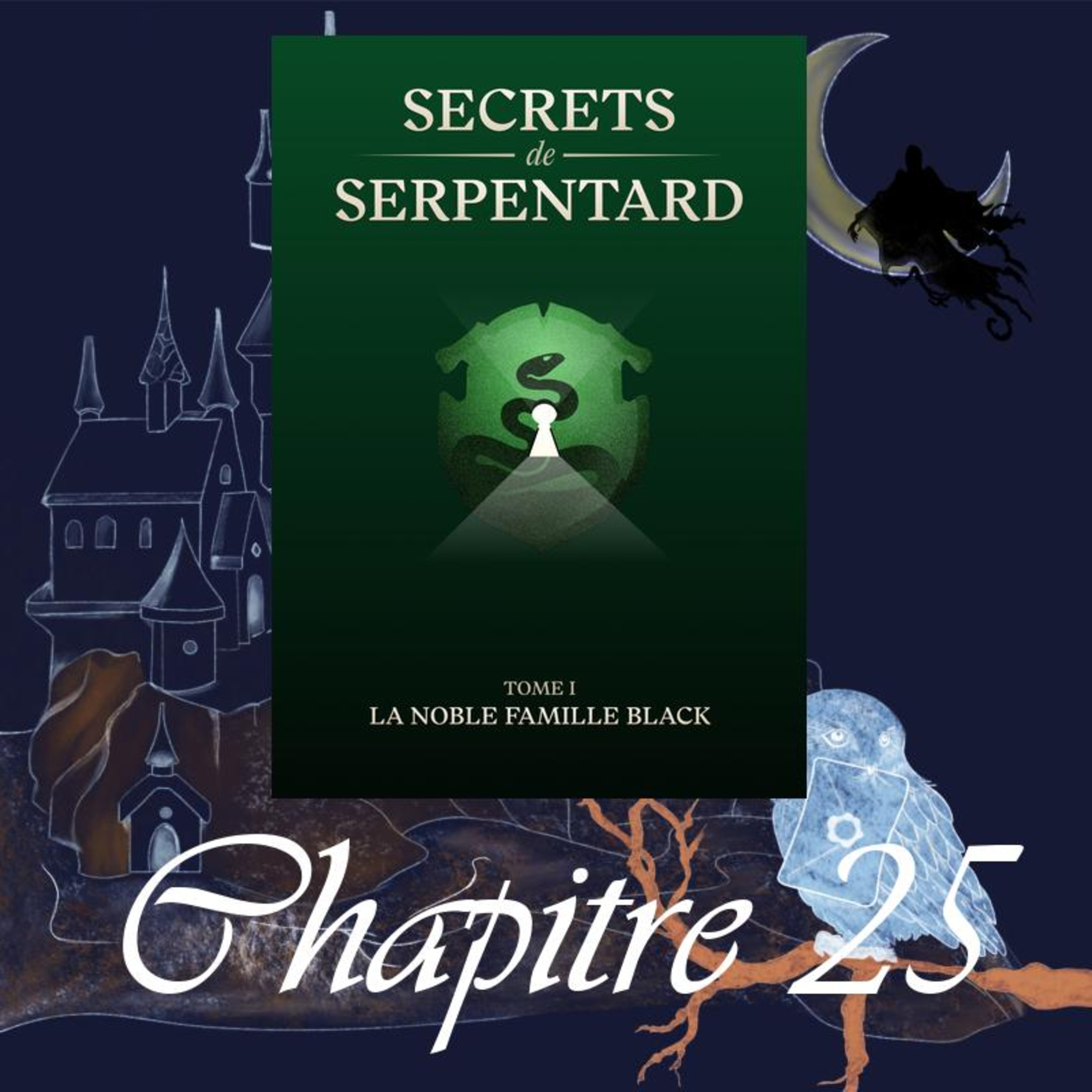 Secrets de Serpentards - Tome 1 - Chap. 25 - Joyeux Noël episode artwork