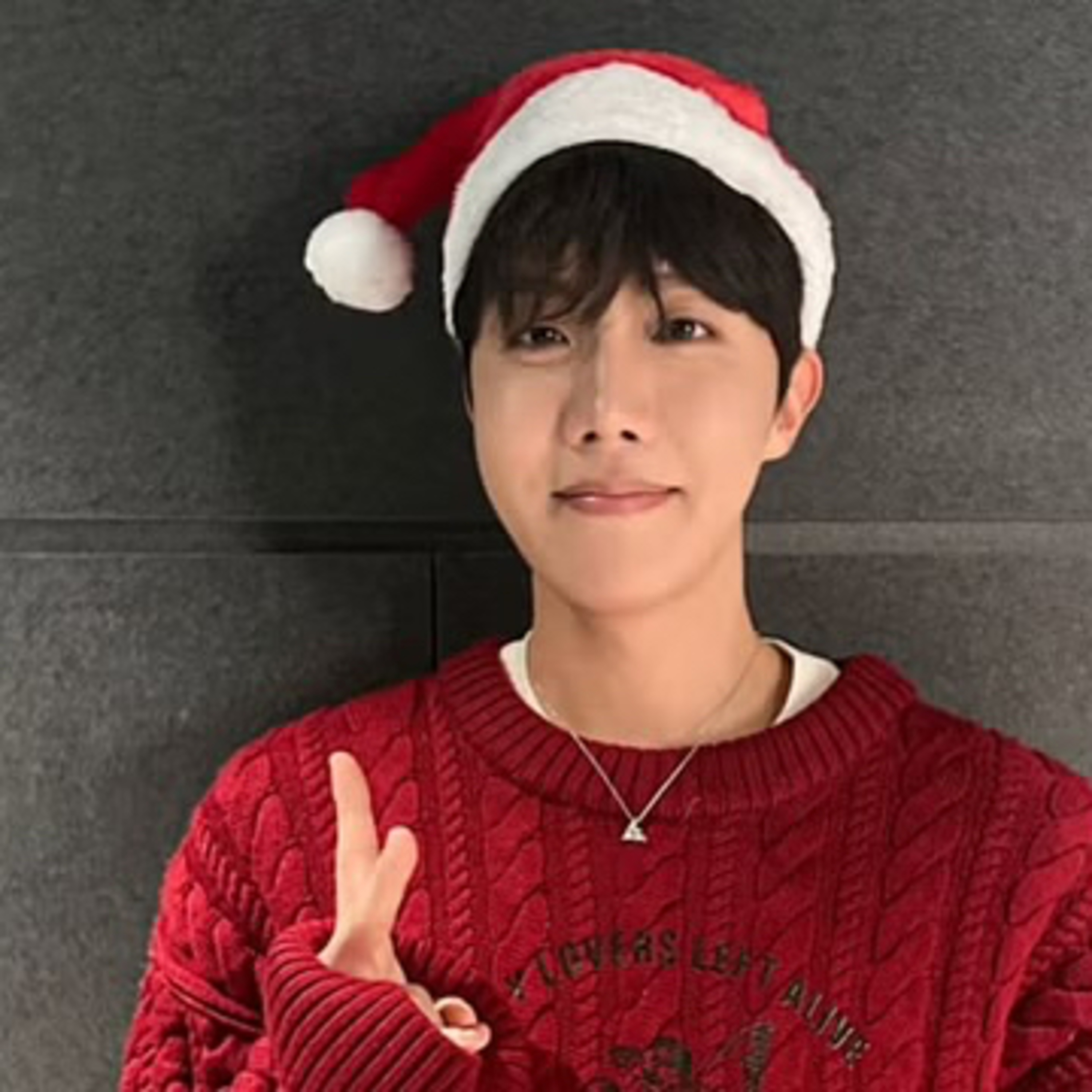 Family always come first BTS J-Hope and BTS Jungkook fans react j-hope TikTok account