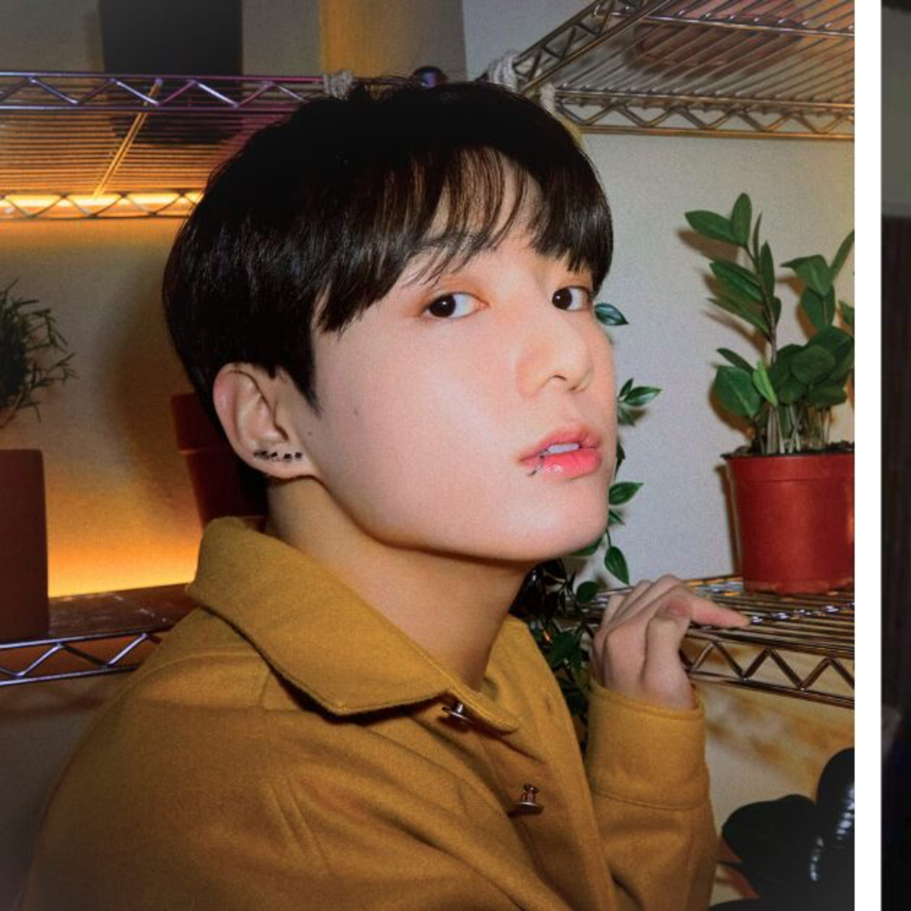 BTS Golden Maknae Jungkook shares ADHD diagnosis with ARMY amidst home tour: ‘I can’t help it…'