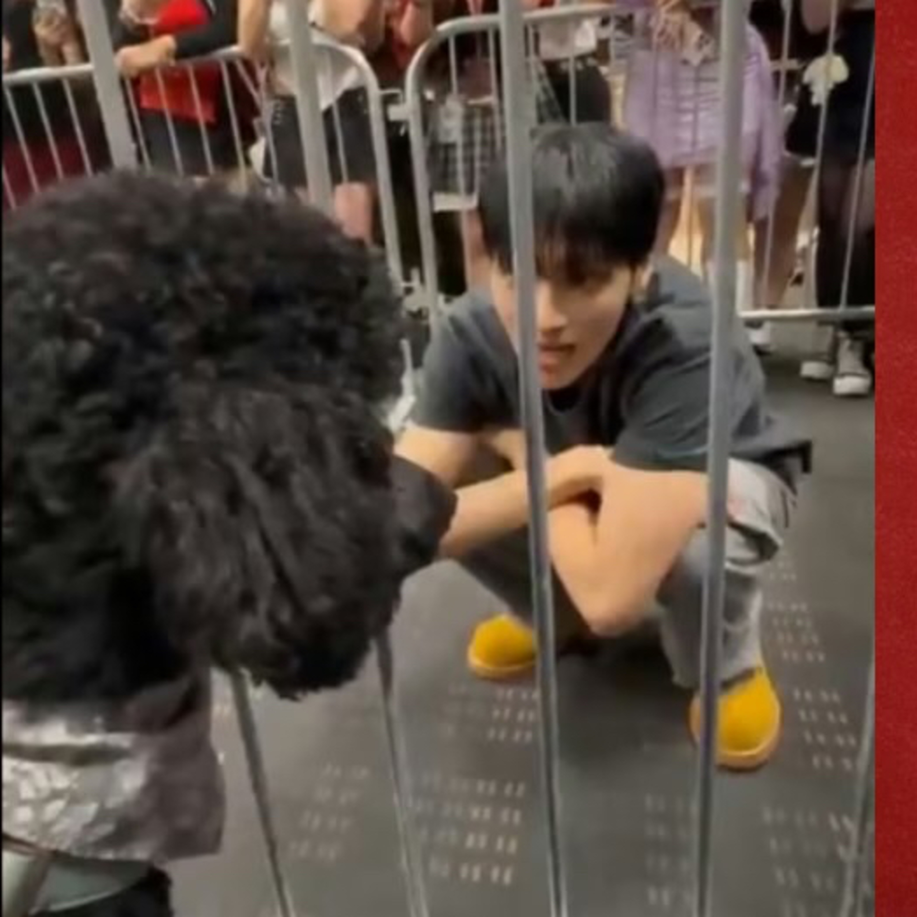 Video) Fans Coo Over Adorable Interaction Between ATEEZ’s Wooyoung & Service Dog