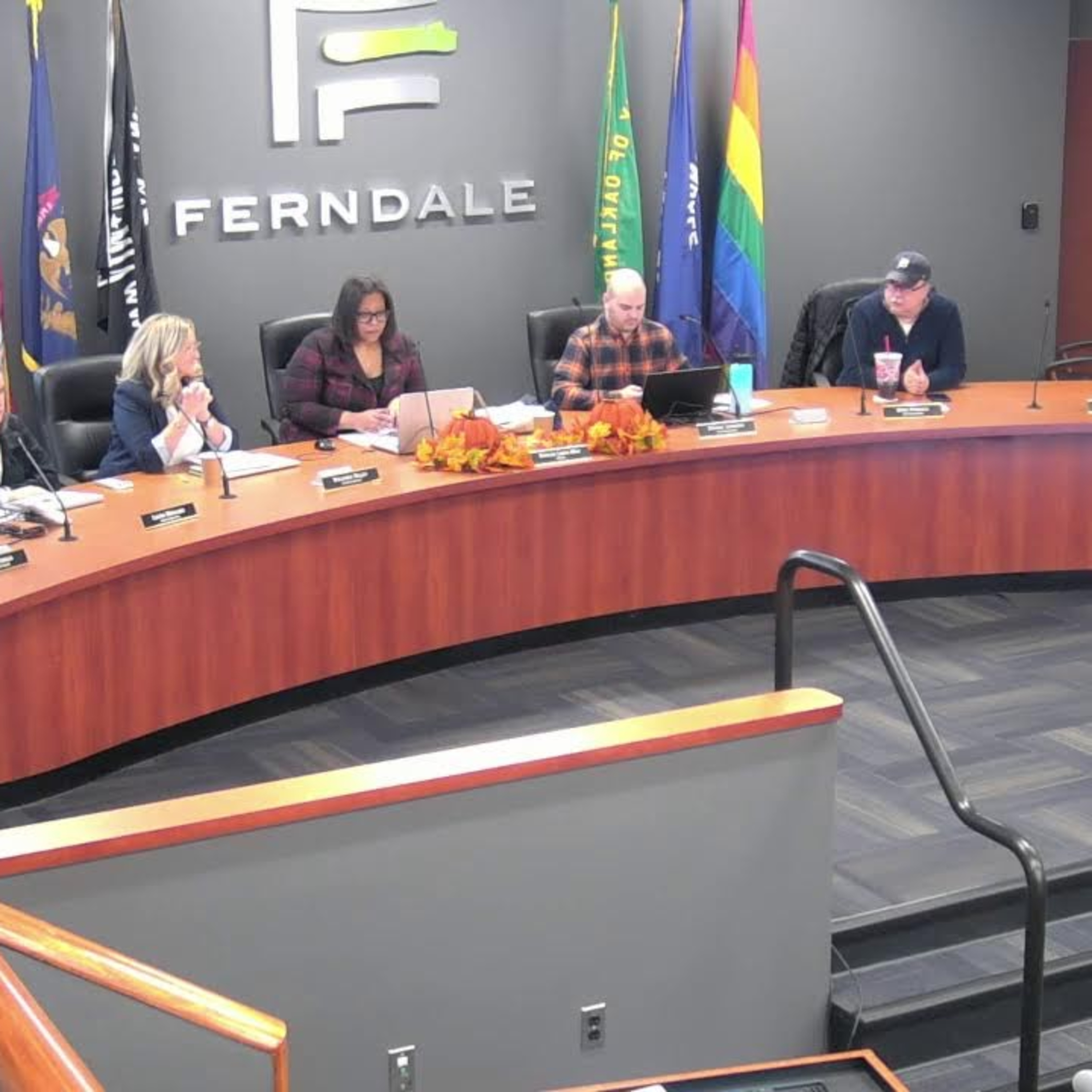 Ferndale City Counsel: 11/13/2024 episode artwork