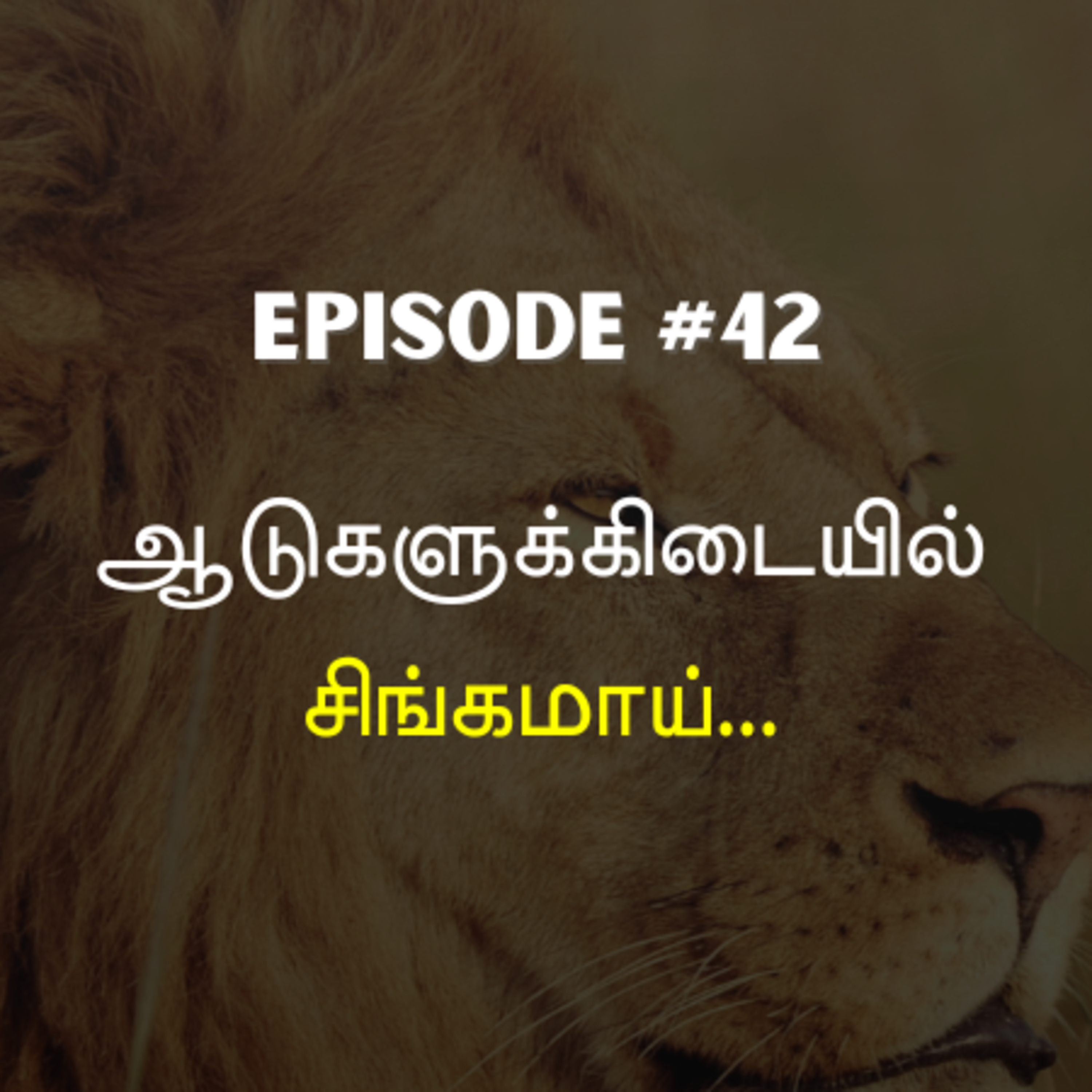 ஆடுகளுக்கிடையில் சிங்கமாய்... Episode #42 episode artwork