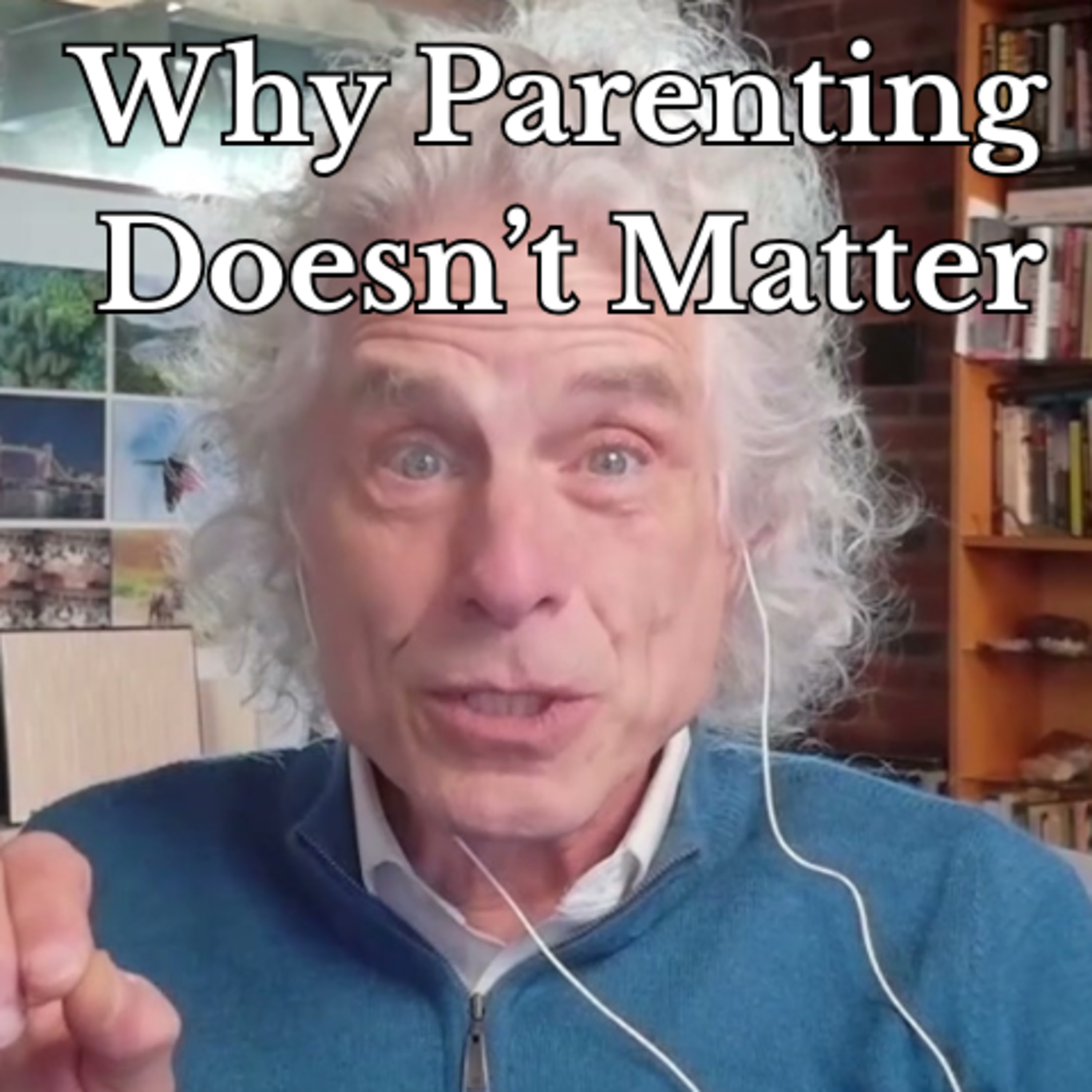 Steven Pinker – Genes, Parenting, and the Blank Slate episode artwork