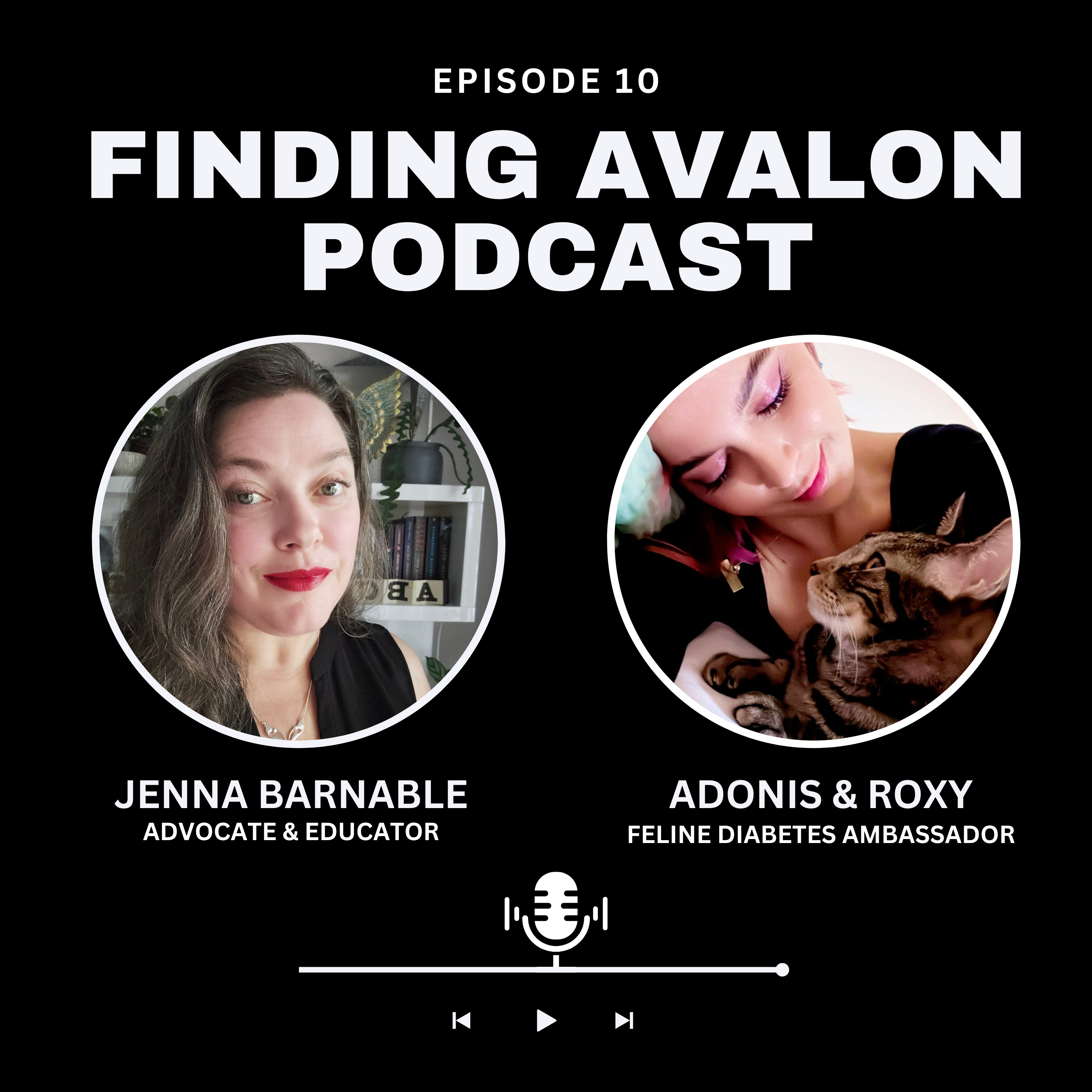 Finding Avalon: Amplifying Disabled Voices