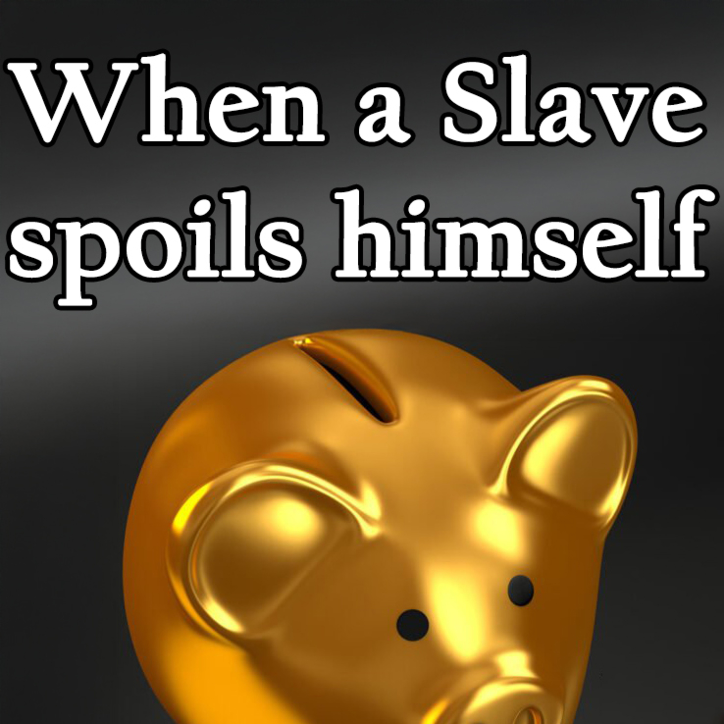 The PayPig Chronicles: Conversations on Financial Domination