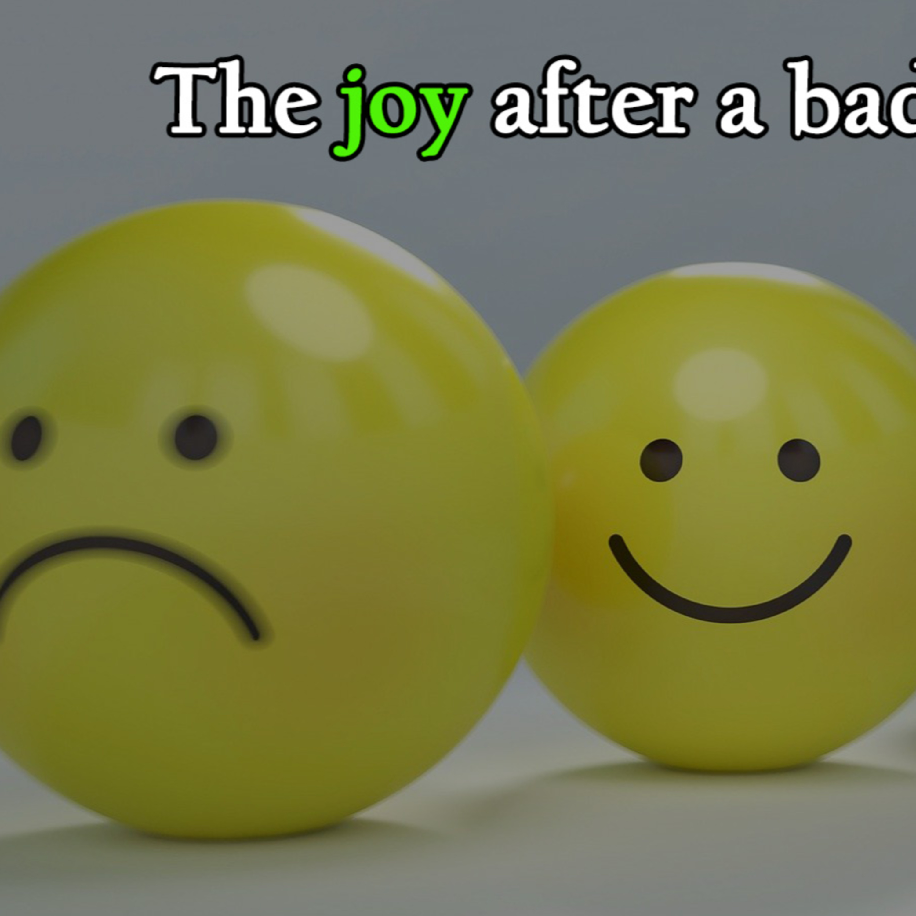 The PayPig Chronicles: Conversations on Financial Domination