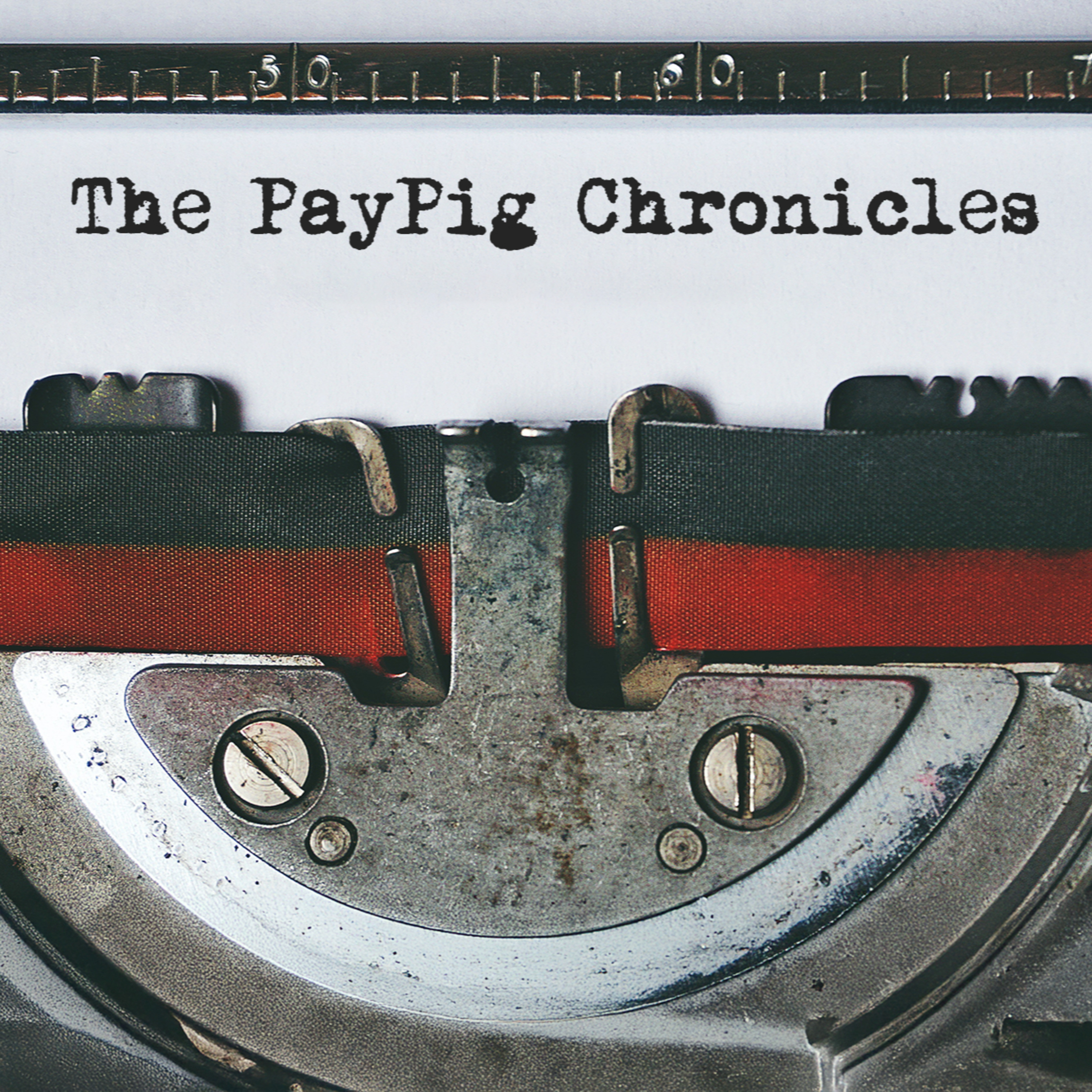 The PayPig Chronicles: Conversations on Financial Domination