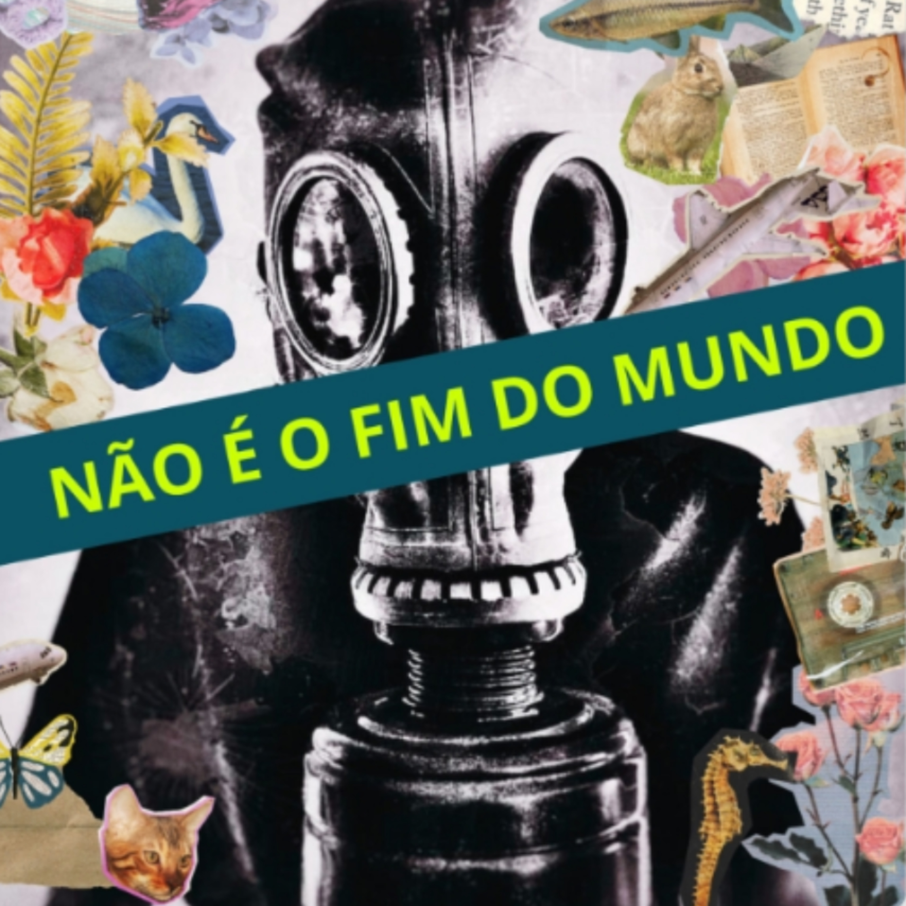 #34 Morango do amor, soberania e pedestres  episode artwork