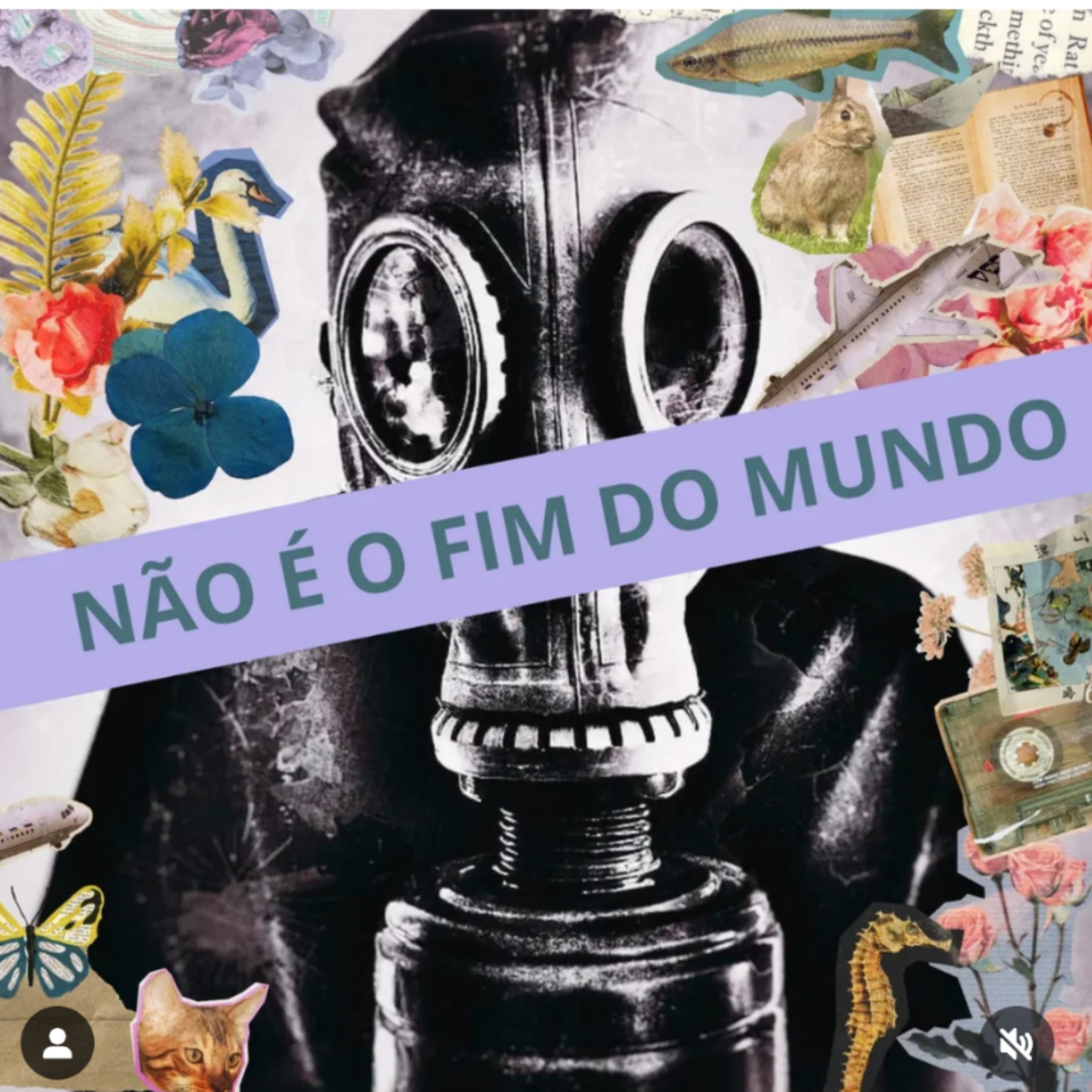 #38 H&M no Brasil, make cansado, julgamento do Bozo e mais episode artwork
