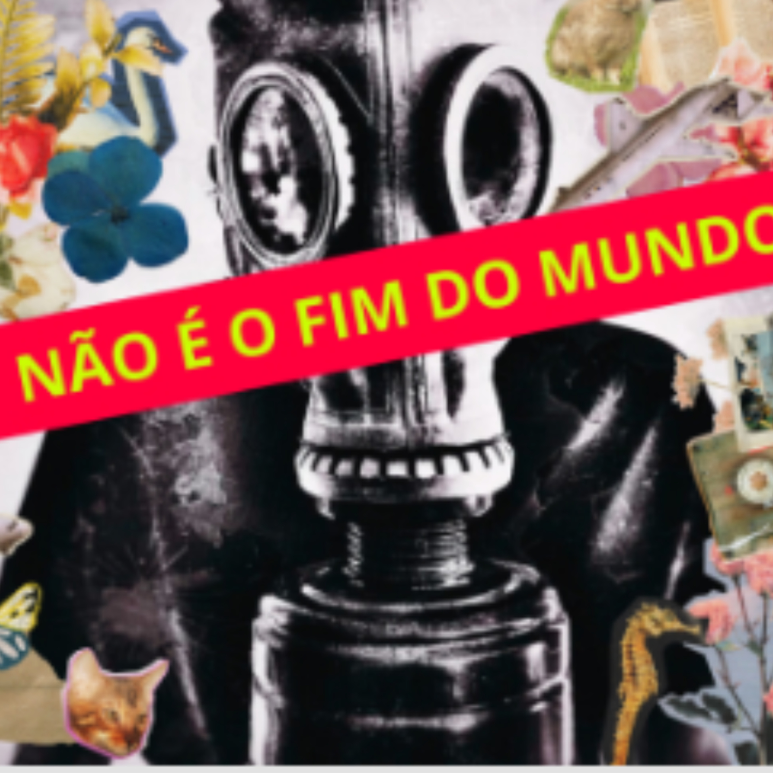 #50 Merz ridículo e Black Friday  episode artwork