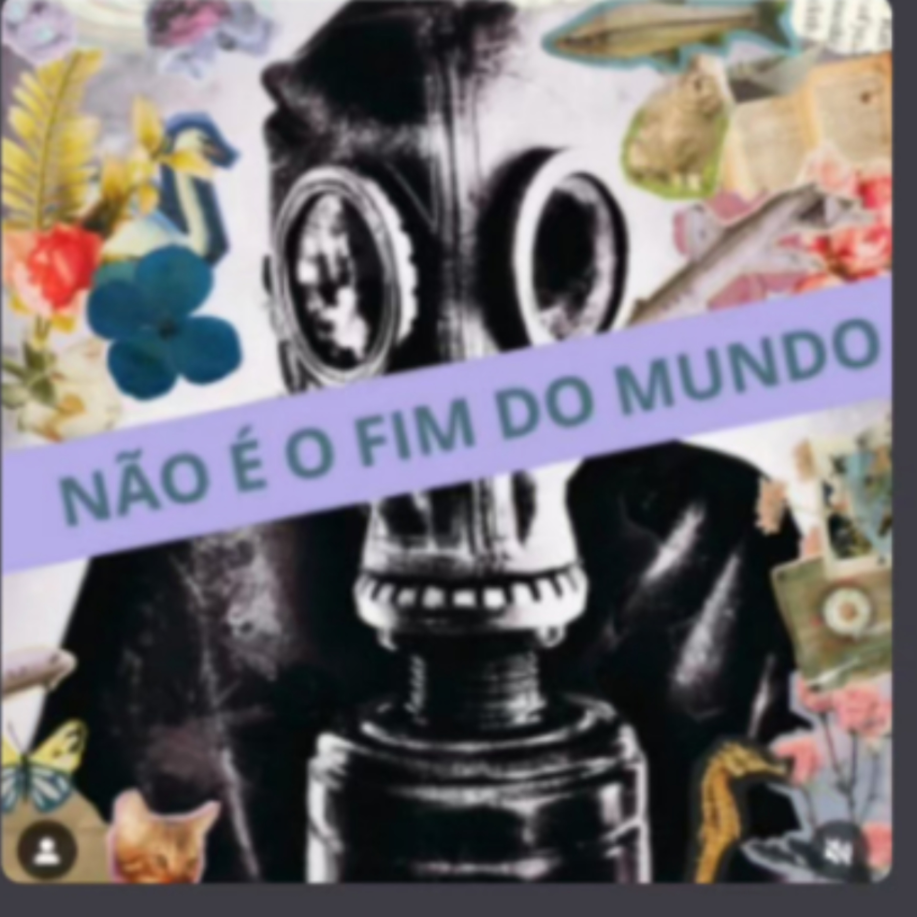 #70 BBB, superexposição da dor, Lula e Strokes  episode artwork