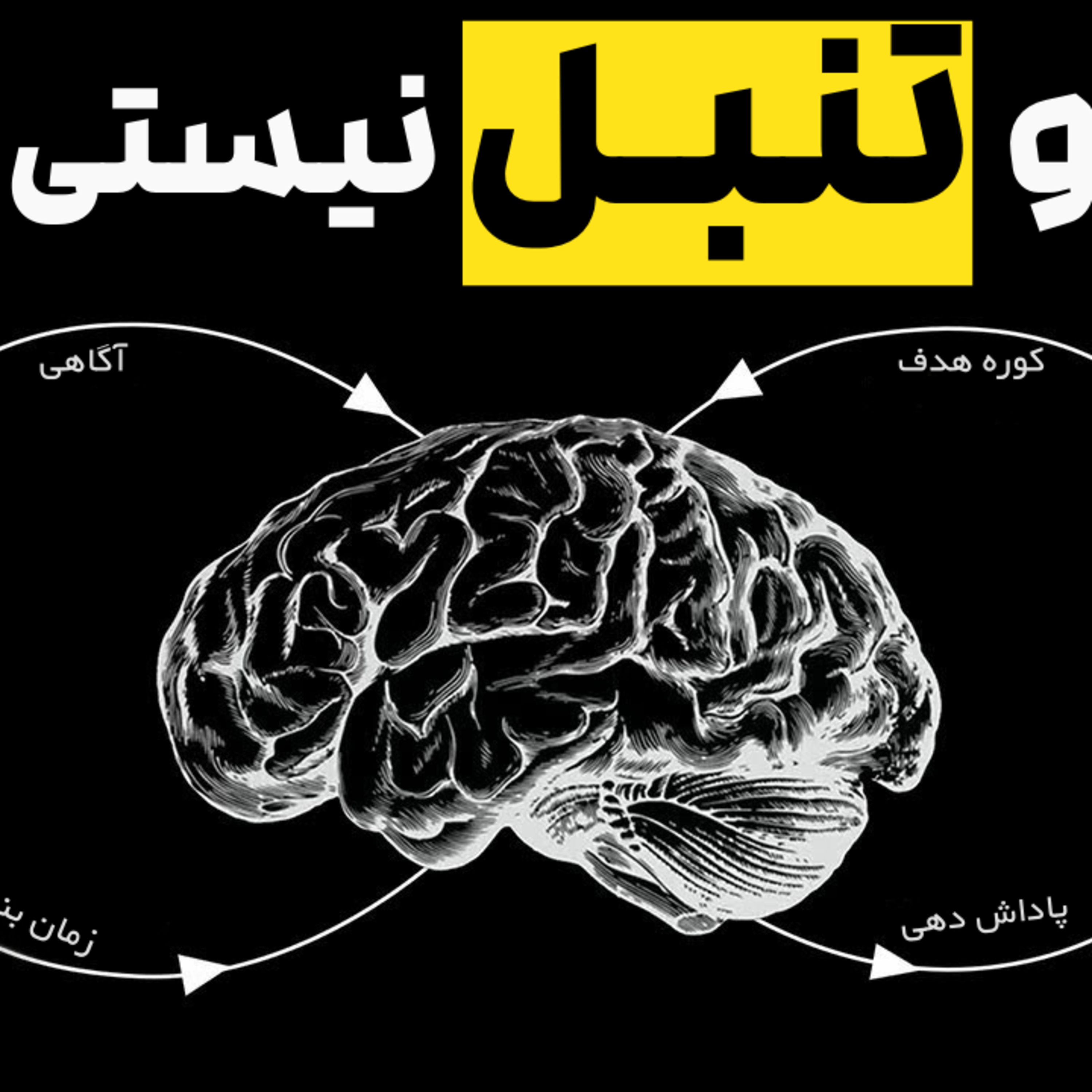چطور مغزت رو مجبور کنی که عاشق انجام کارای سخت بشه