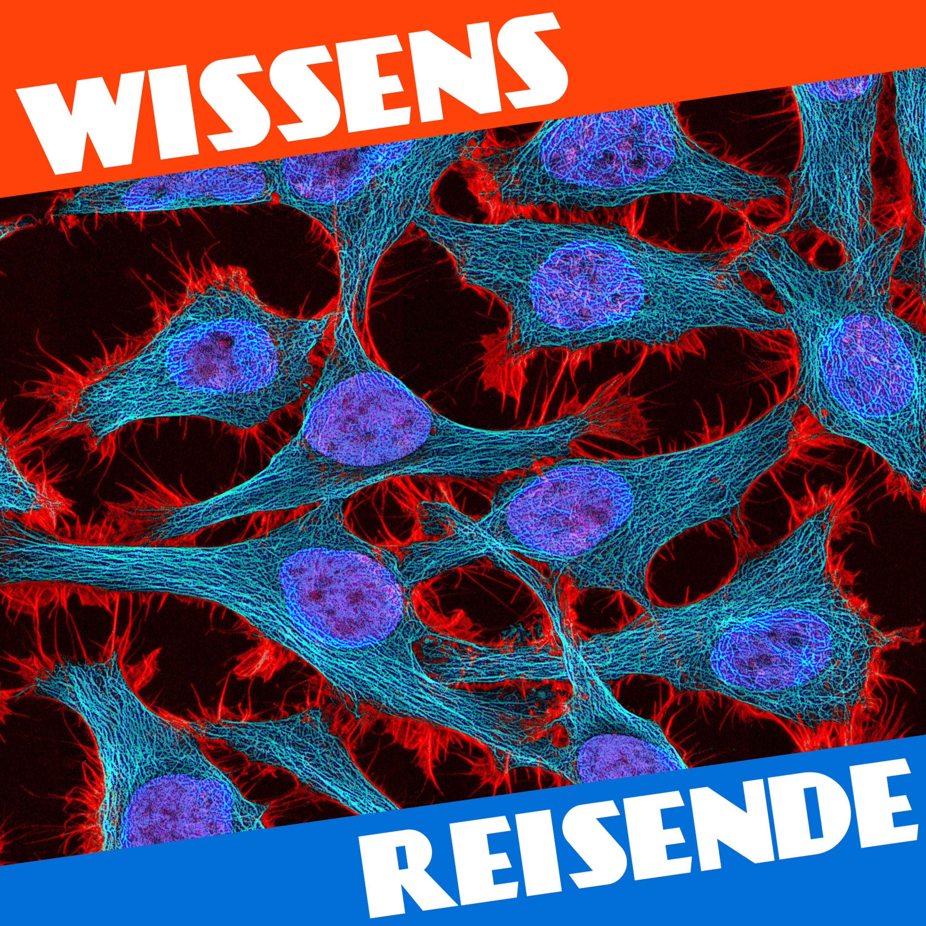 WR173 - Die Geschichte der unsterblichen Henrietta Lacks episode artwork