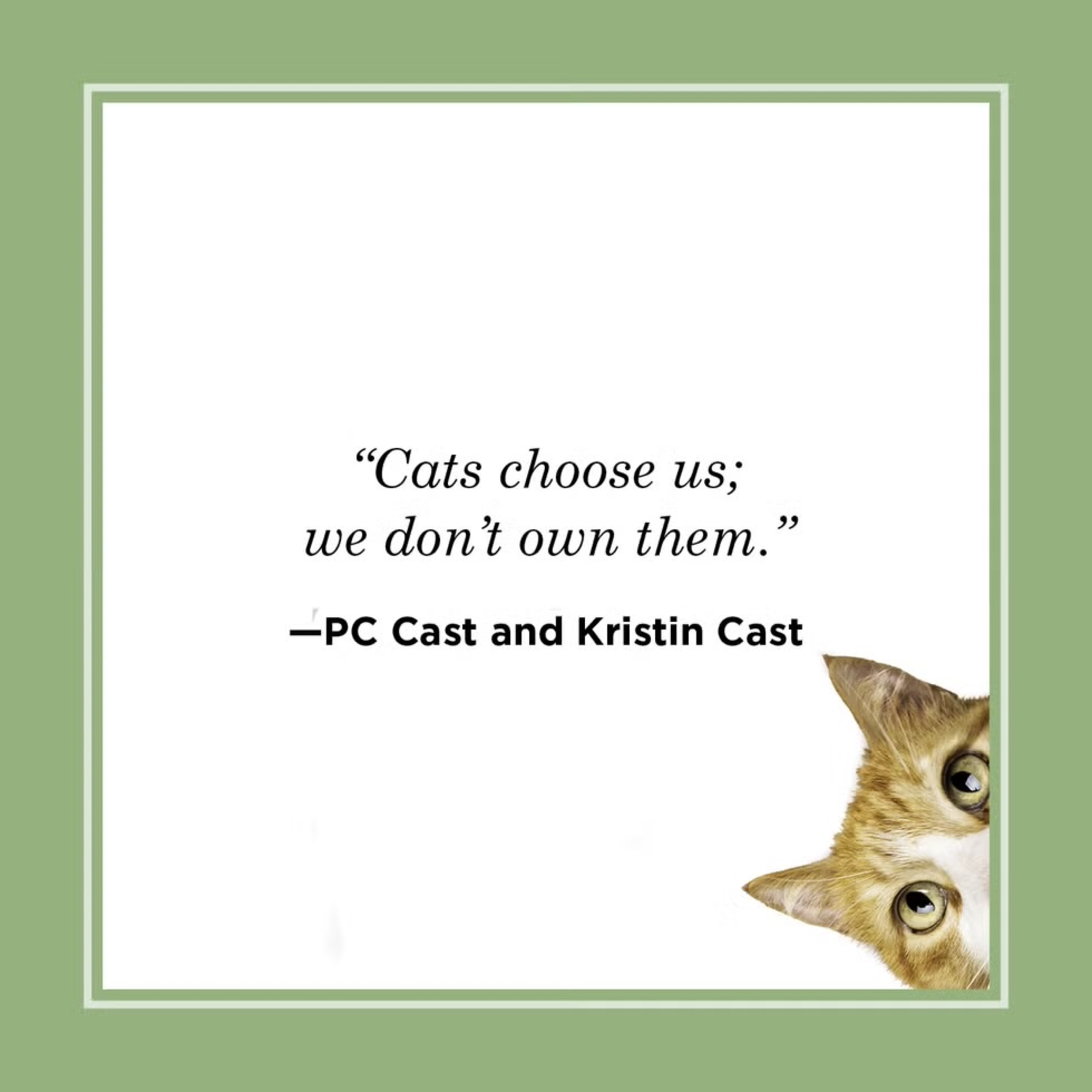 60 Great Cat Quotes to Enjoy with a Cat on Your Lap episode artwork
