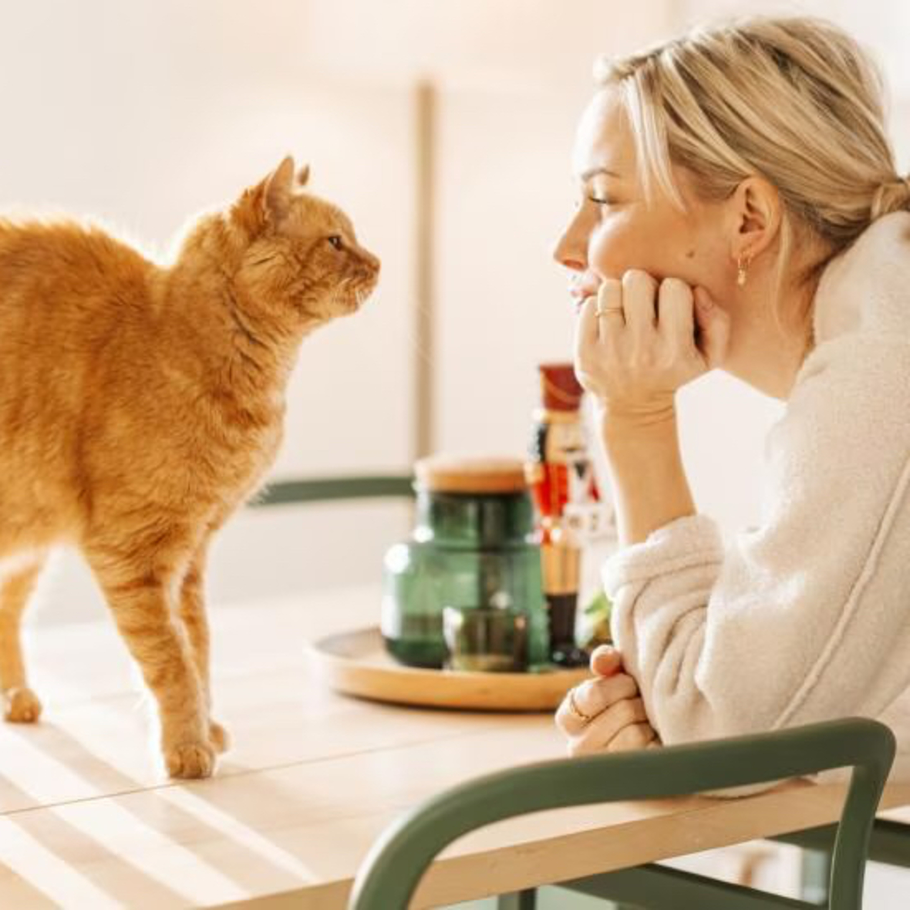 Does My Cat Love Me? Here's How To Tell episode artwork