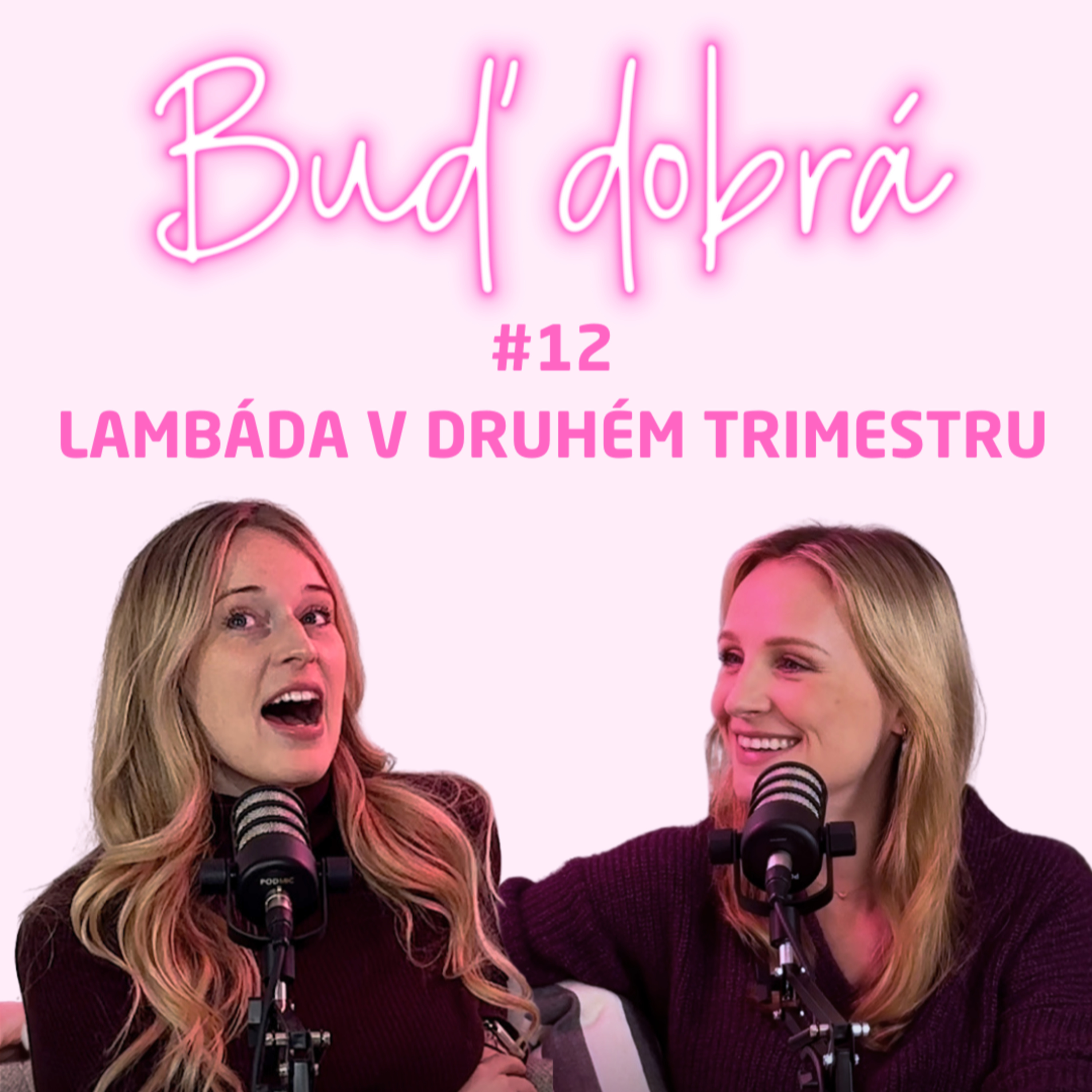 #12 Jediné období těhotenství, které za něco stojí, změna pohlaví a péče o cizí genitálie
