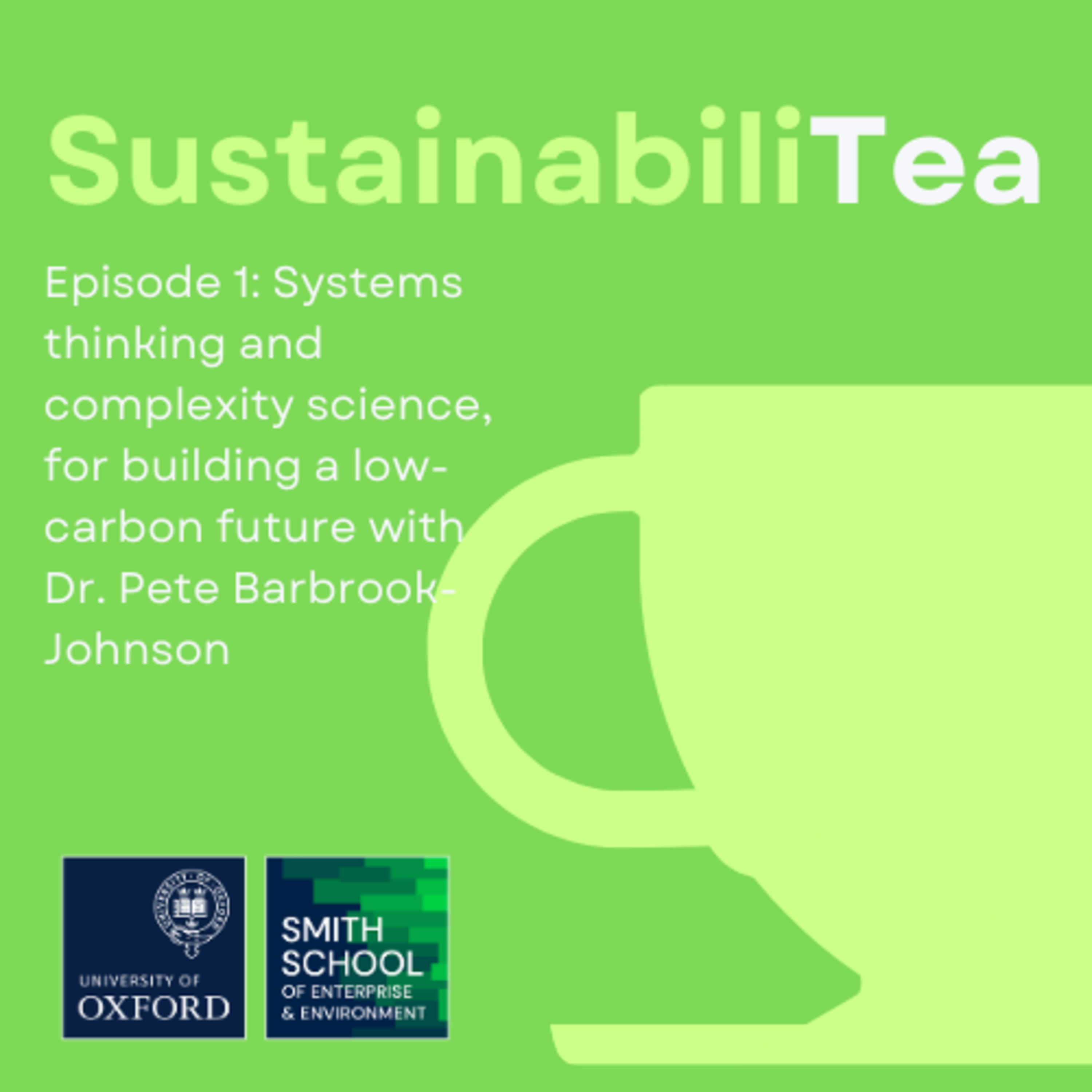 Episode 1: Simplifying complexity: The power of systems thinking, complexity science and agent-based modelling in building a low-carbon future with Dr. Pete Barbrook-Johnson episode artwork