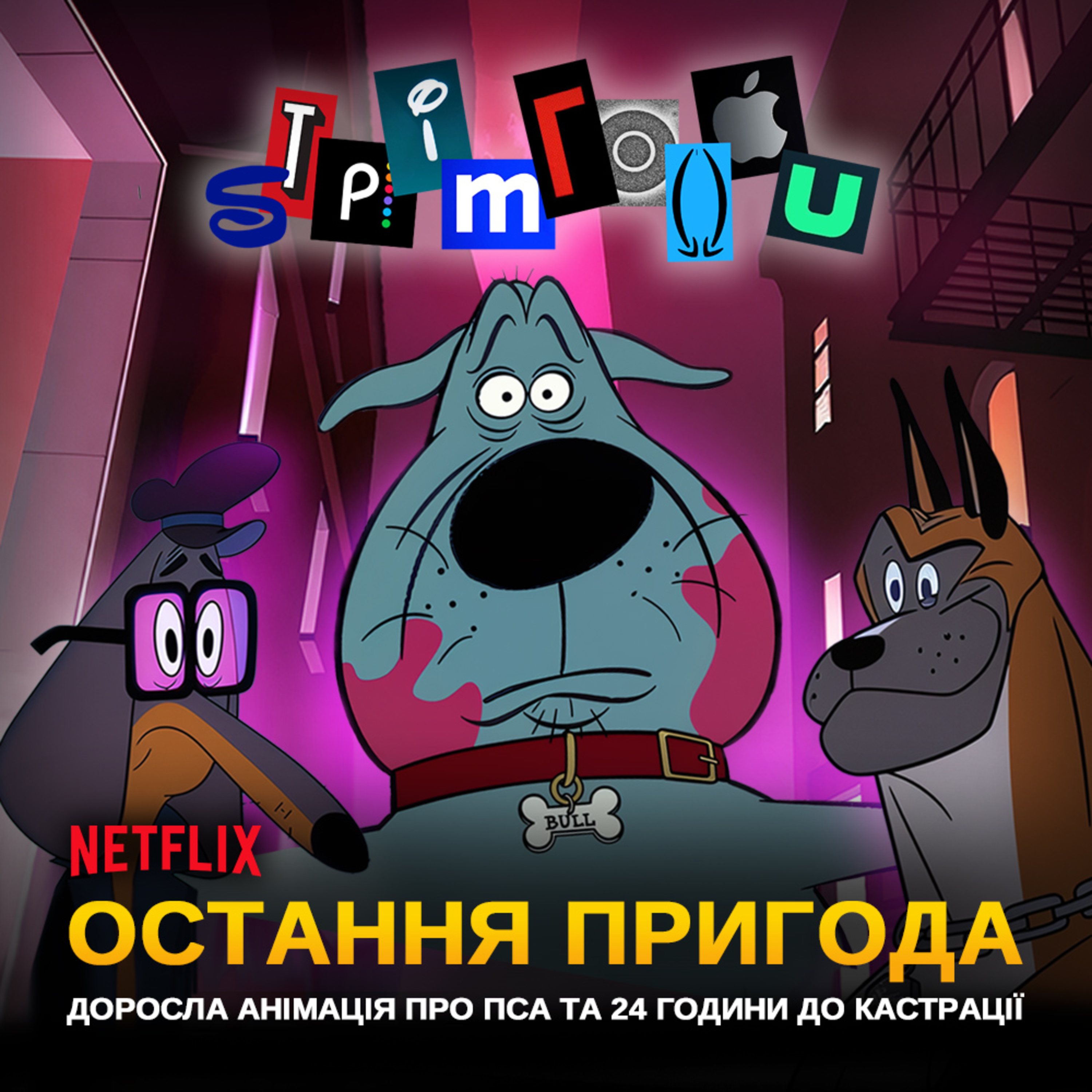 ОСТАННЯ ПРИГОДА: коли твій пес живе крутіше, ніж ти || Fixed || Netflix 