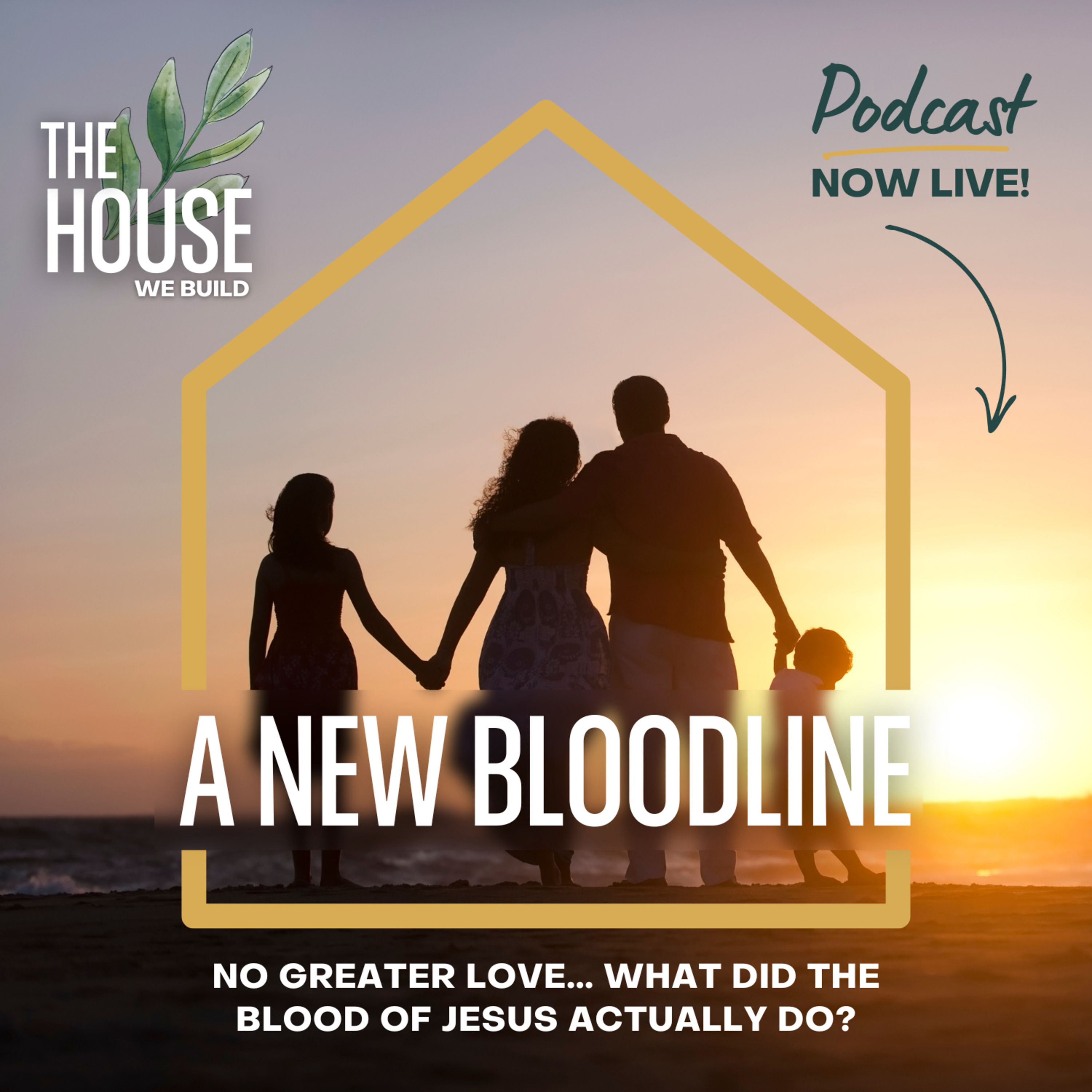 The House We Build