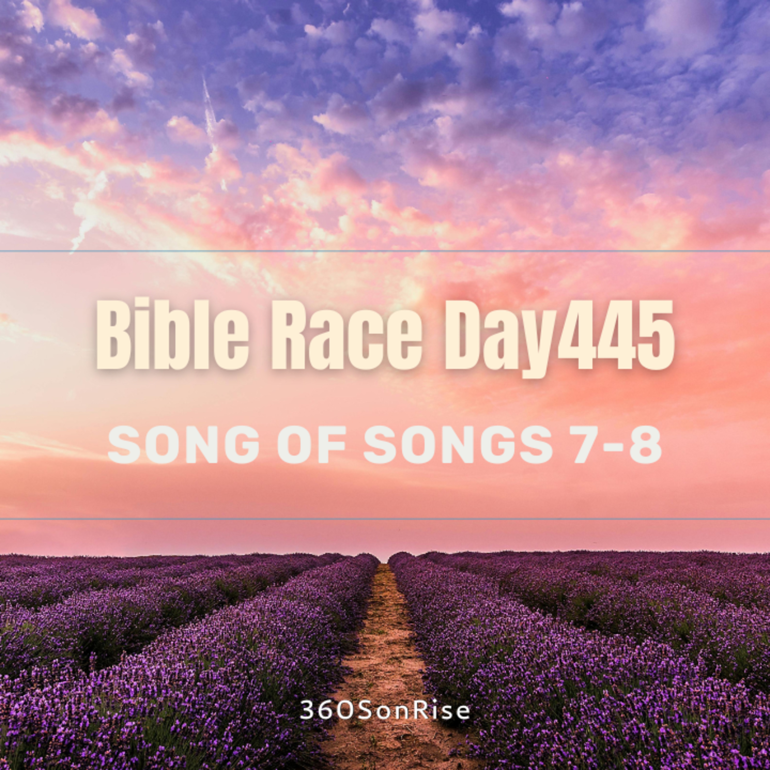 Bible Race 3/20/2025: Day445: Song of Songs 7-8 episode artwork