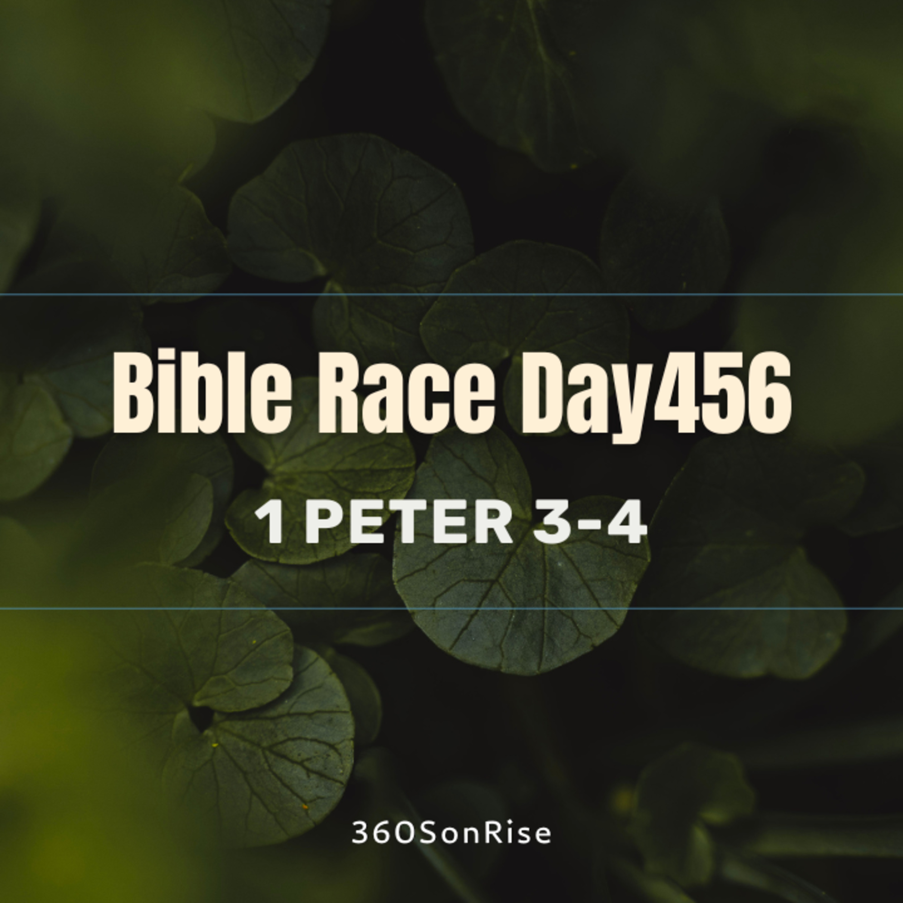 Bible Race 3/31/2025: Day456: 1 Peter 3-4 episode artwork