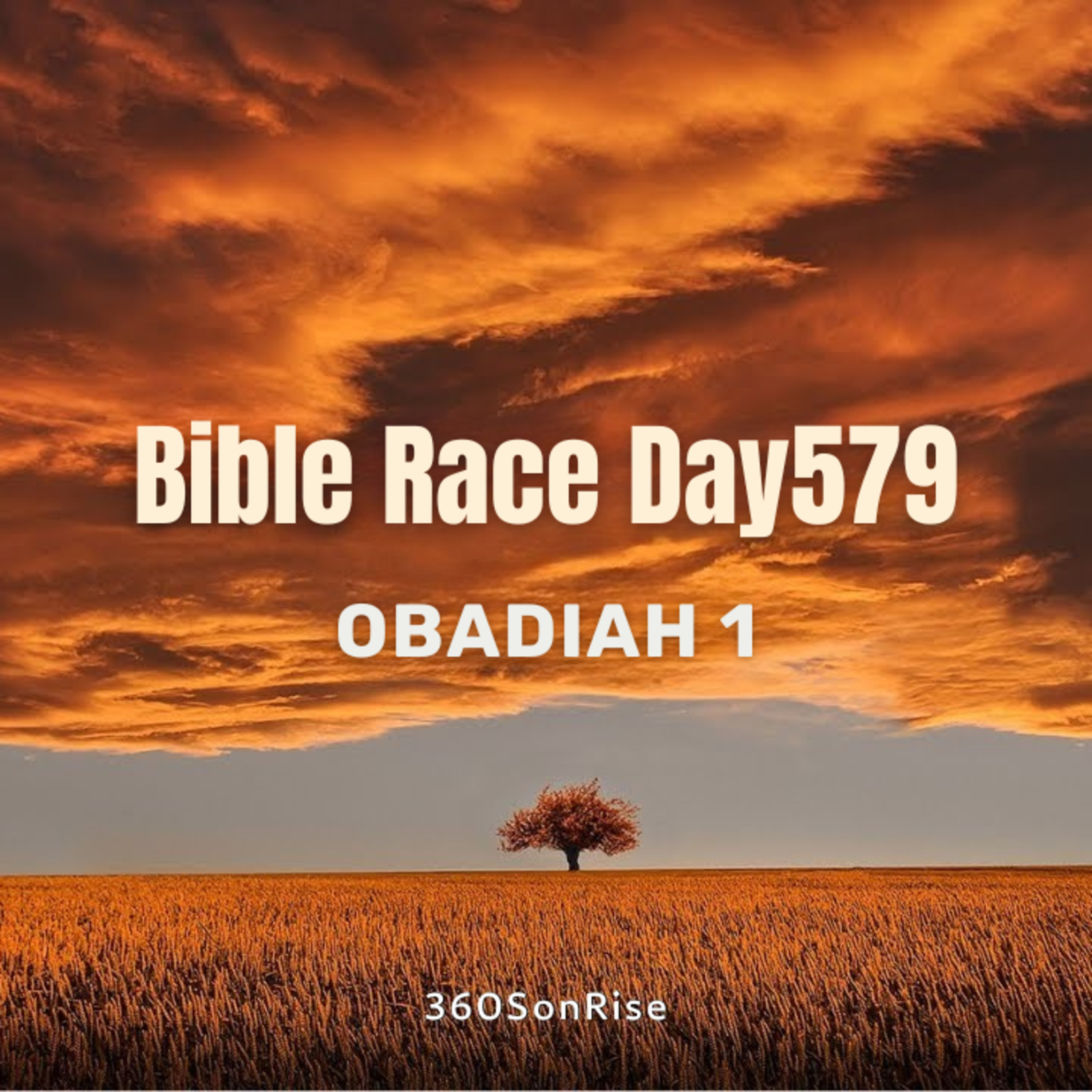 Bible Race 8/1/2025: Day579: Obadiah 1 episode artwork