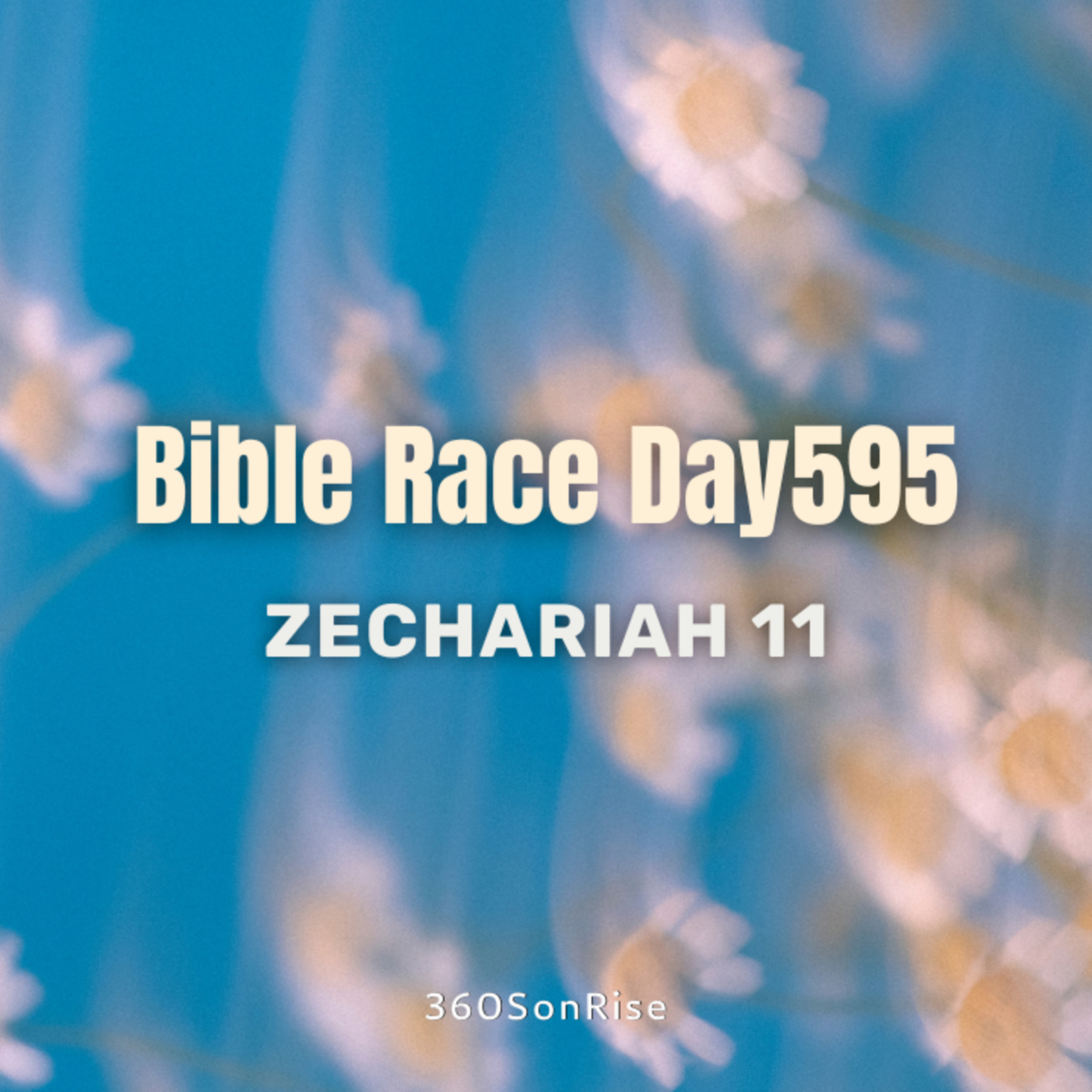 Bible Race 8/17/2025: Day595: Zechariah 11 episode artwork