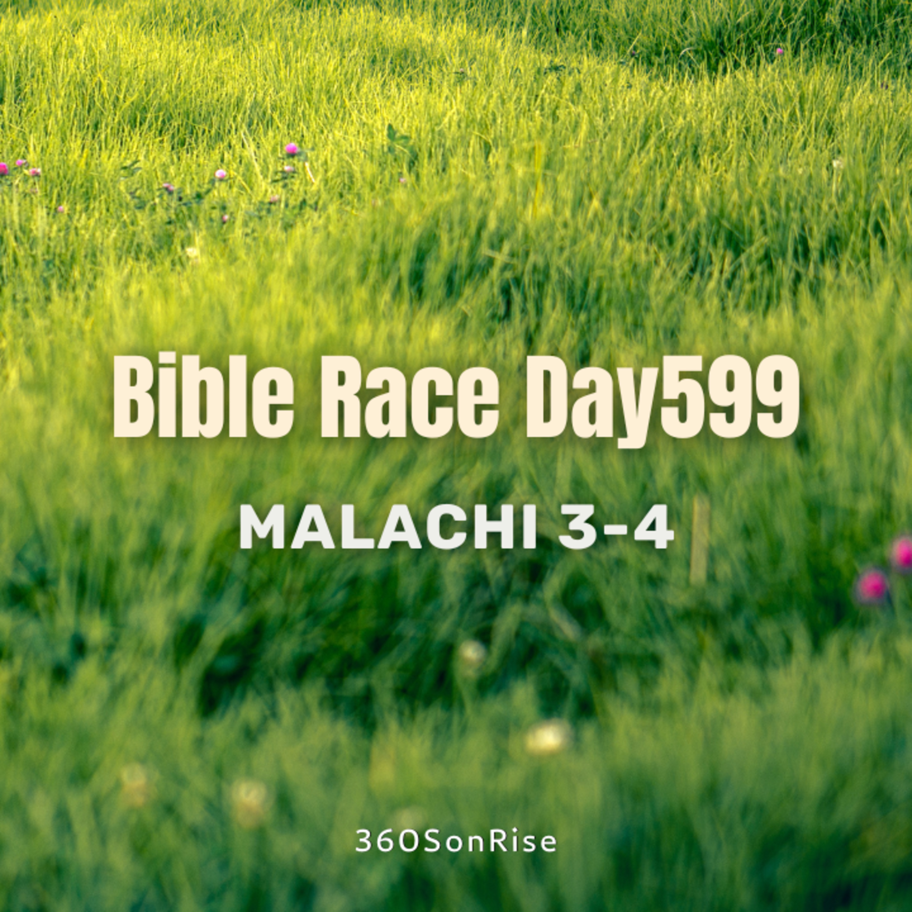 Bible Race 8/21/2025: Day599: Malachi 3-4 episode artwork
