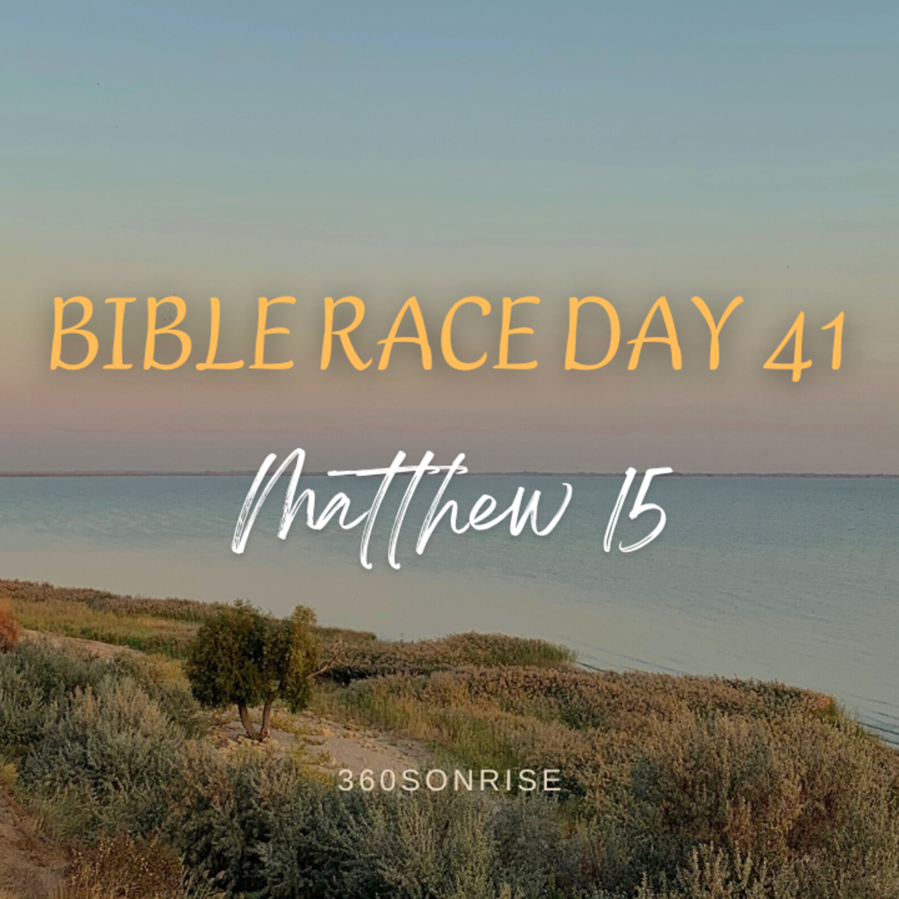 Bible Race 2/10/2026: Day41: Matthew 15 episode artwork