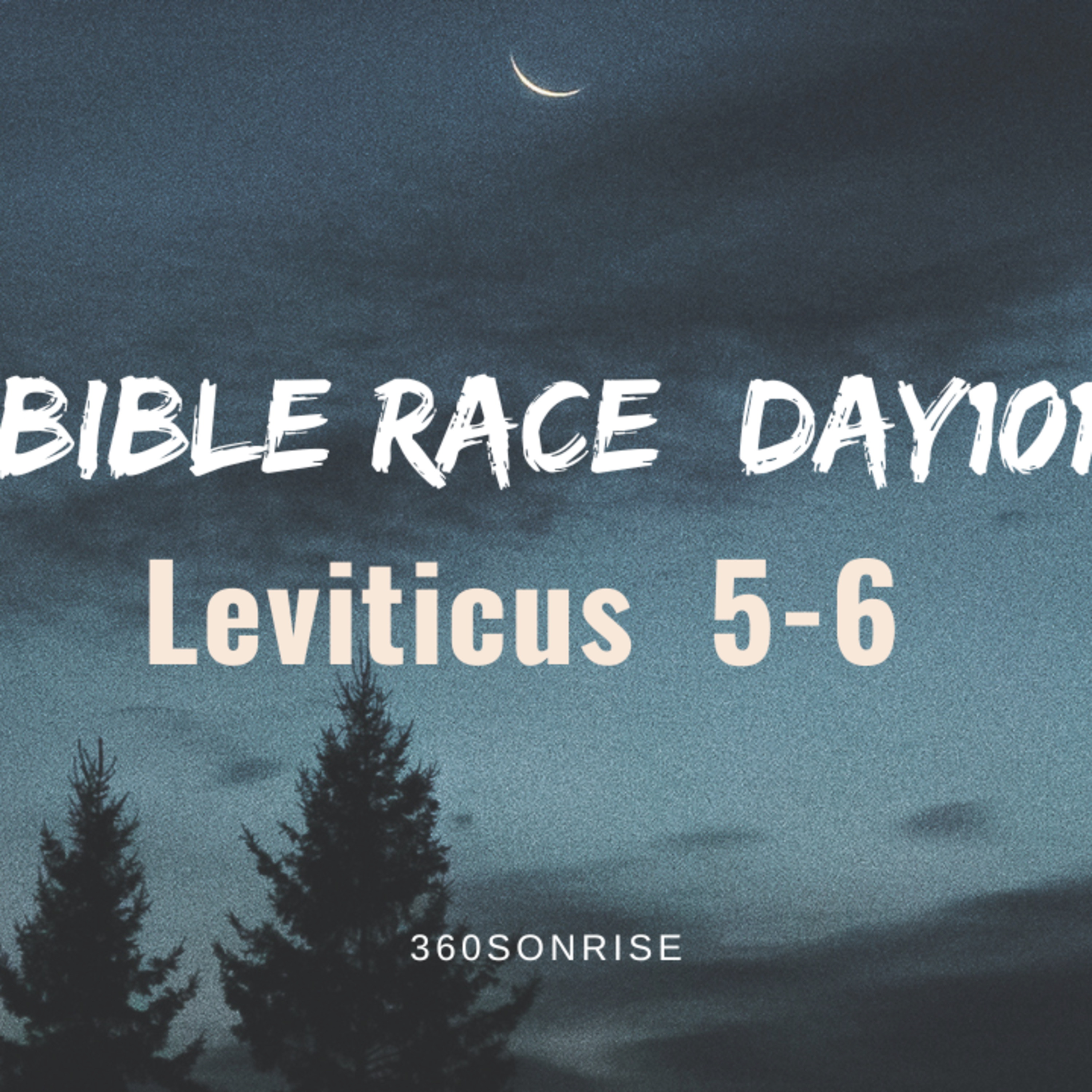 Bible Race 4/11/2026: Day101: Leviticus 5-6 episode artwork