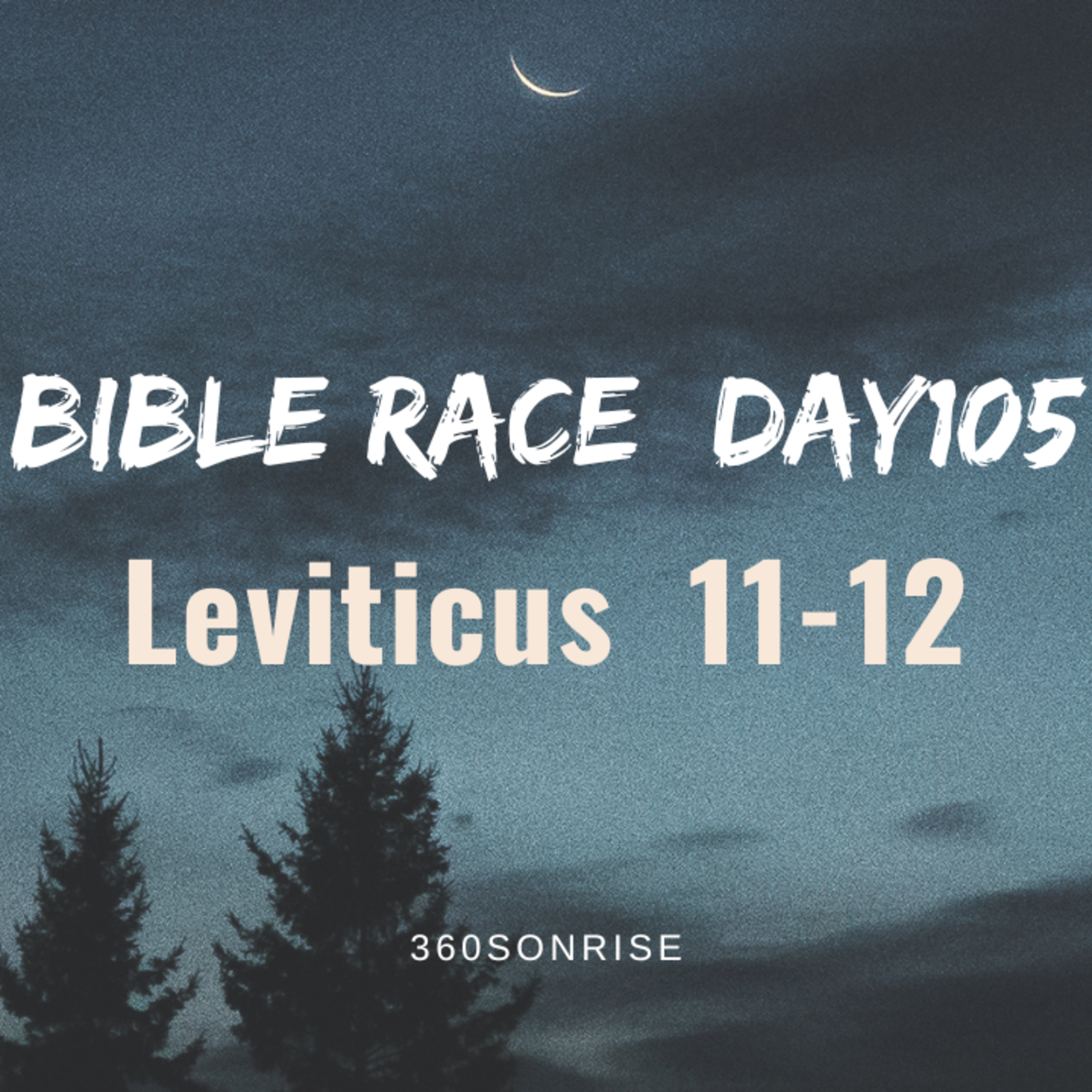 Bible Race 4/15/2026: Day105: Leviticus 11-12 episode artwork