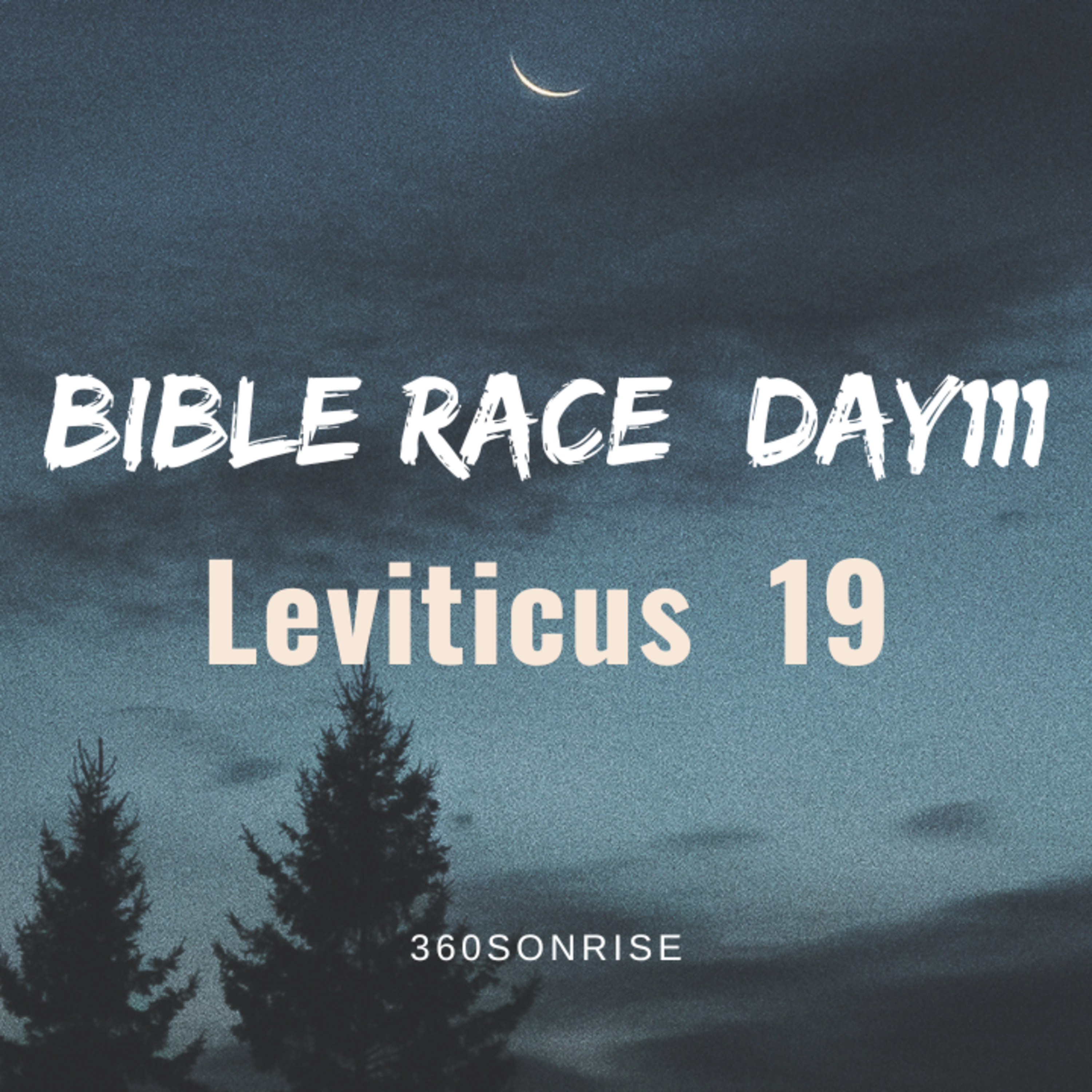 Bible Race 4/21/2026: Day111: Leviticus 19 episode artwork