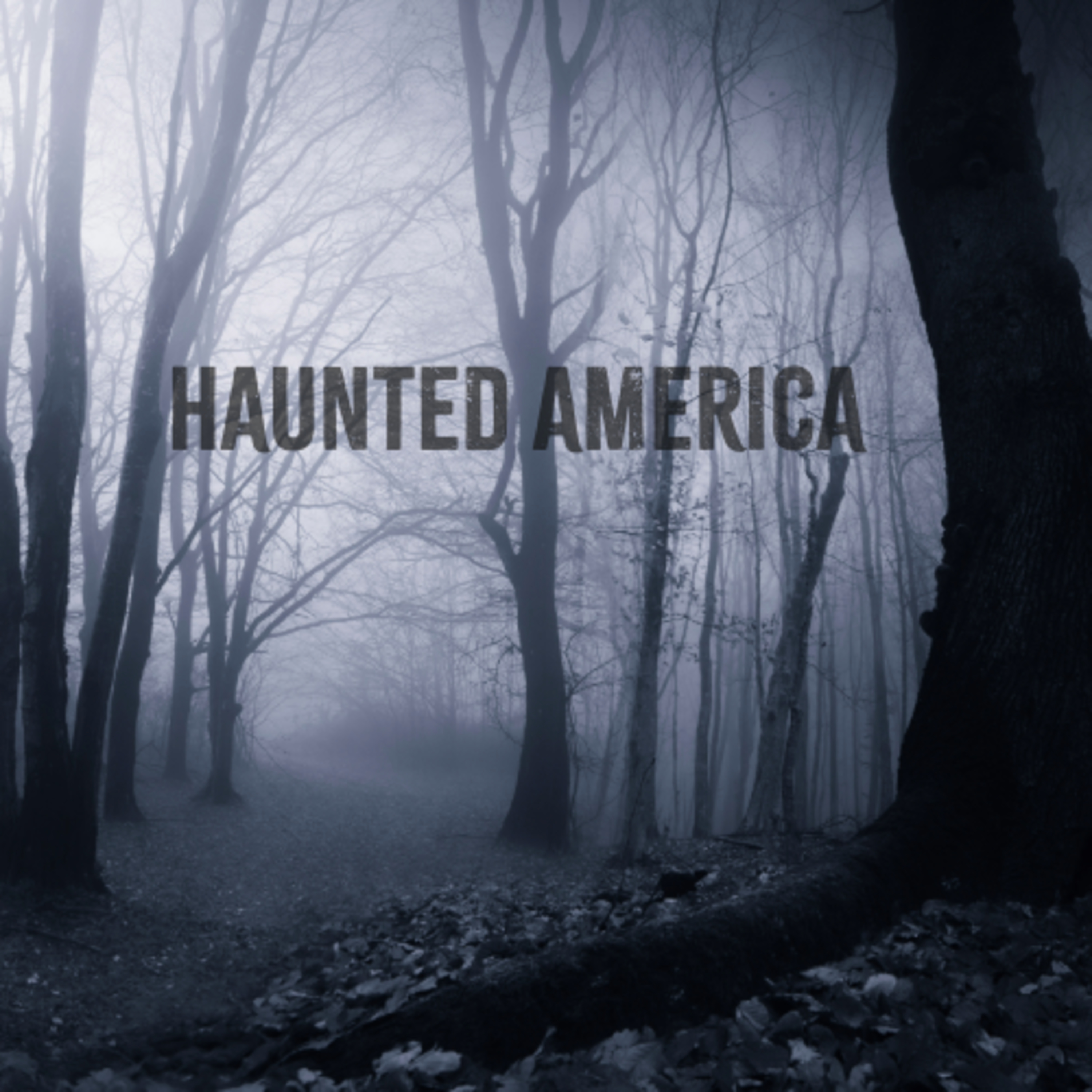 HAUNTED AMERICA: Jean Lafitte’s Blacksmith Shop  episode artwork