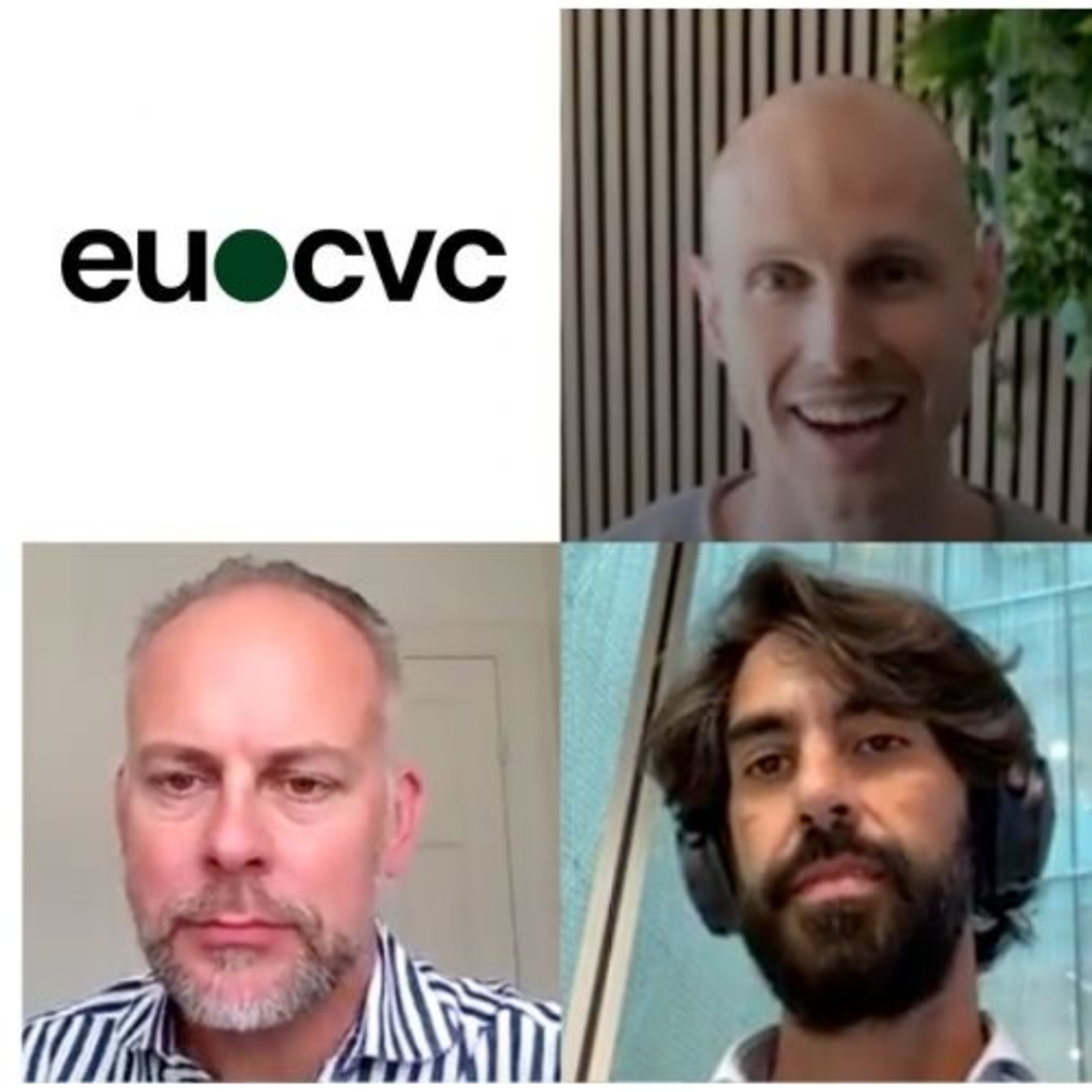 EU CVC