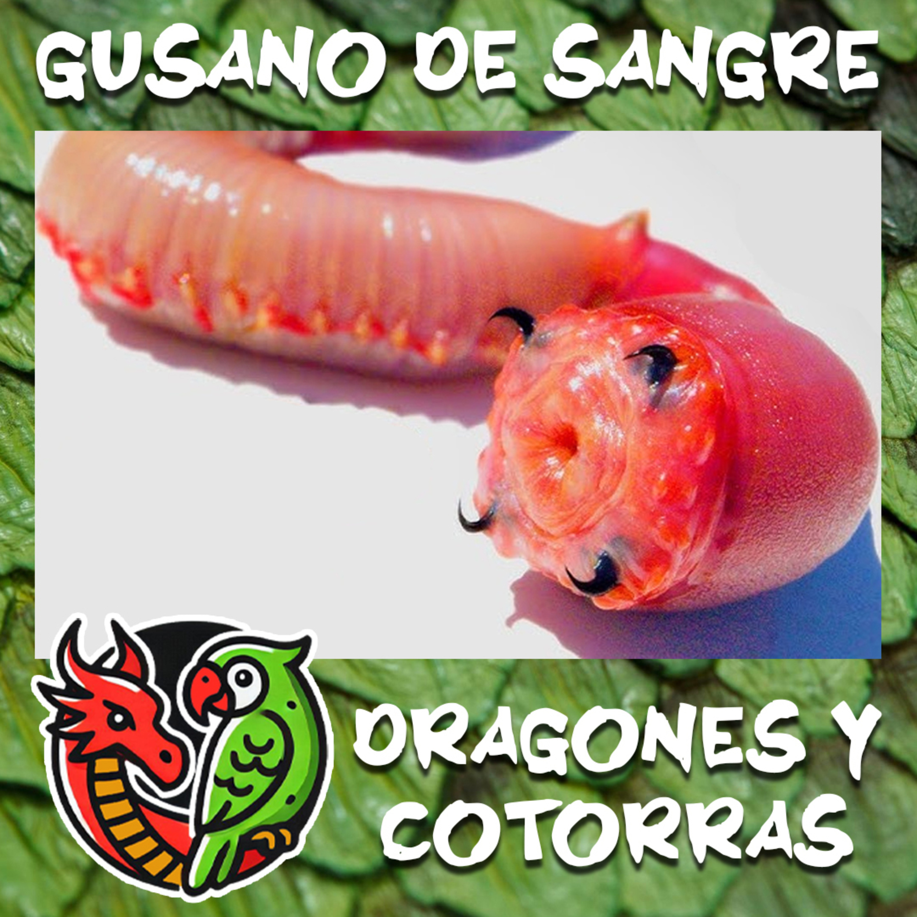 Gusano de sangre: El habitante del barro con dientes de metal episode artwork