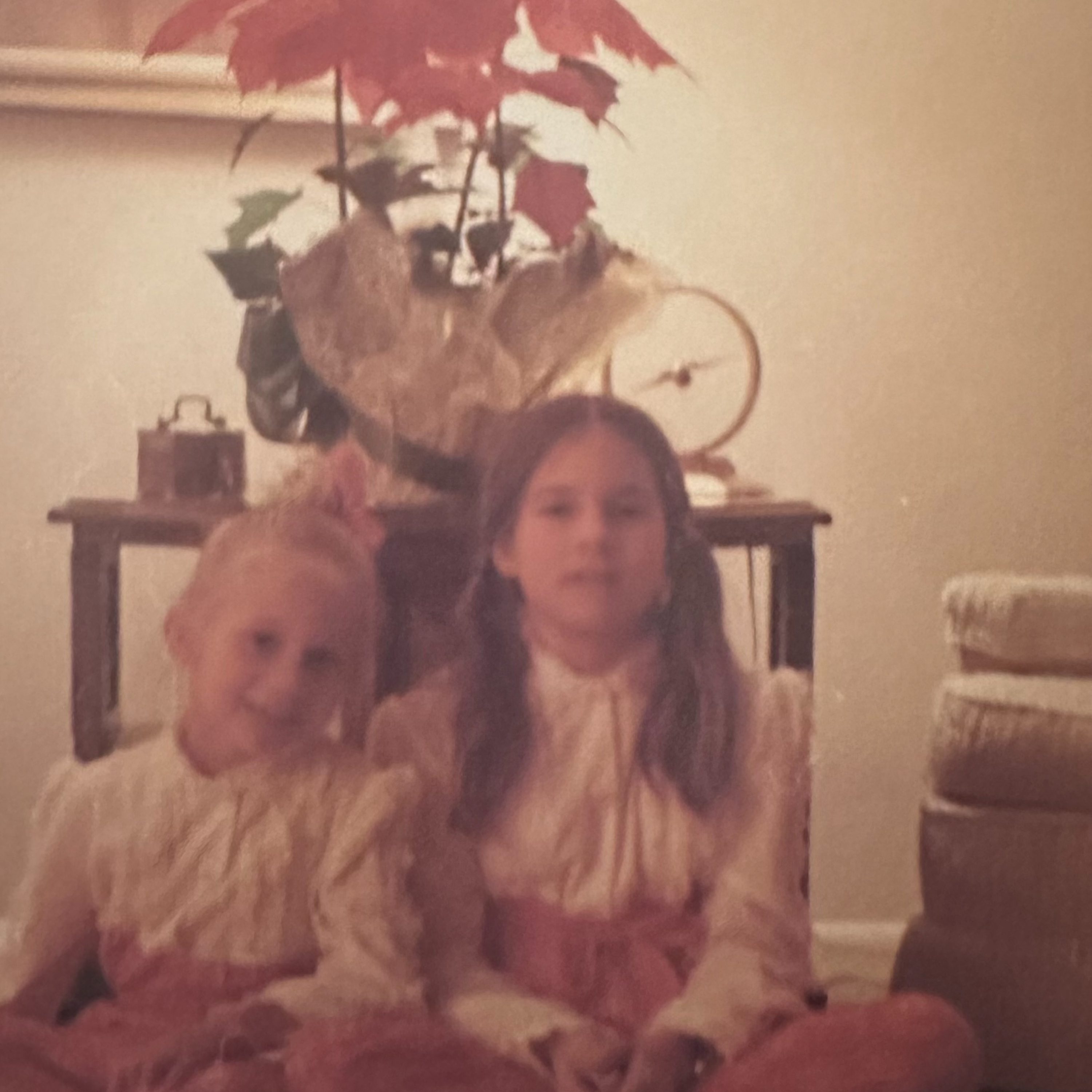 2 Sisters - 24 Books: Double the perspectives, double the bookish fun