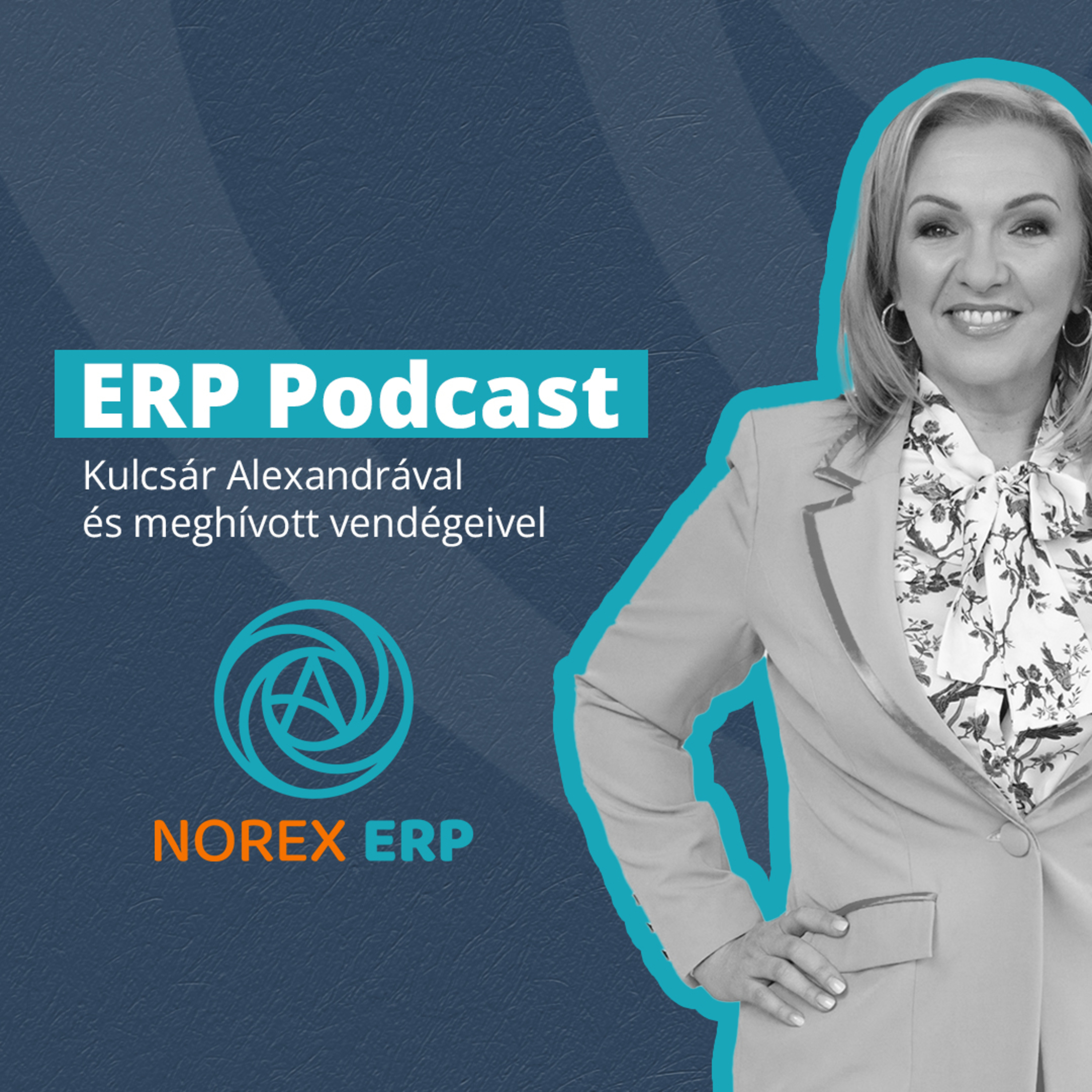 ERP Podcast