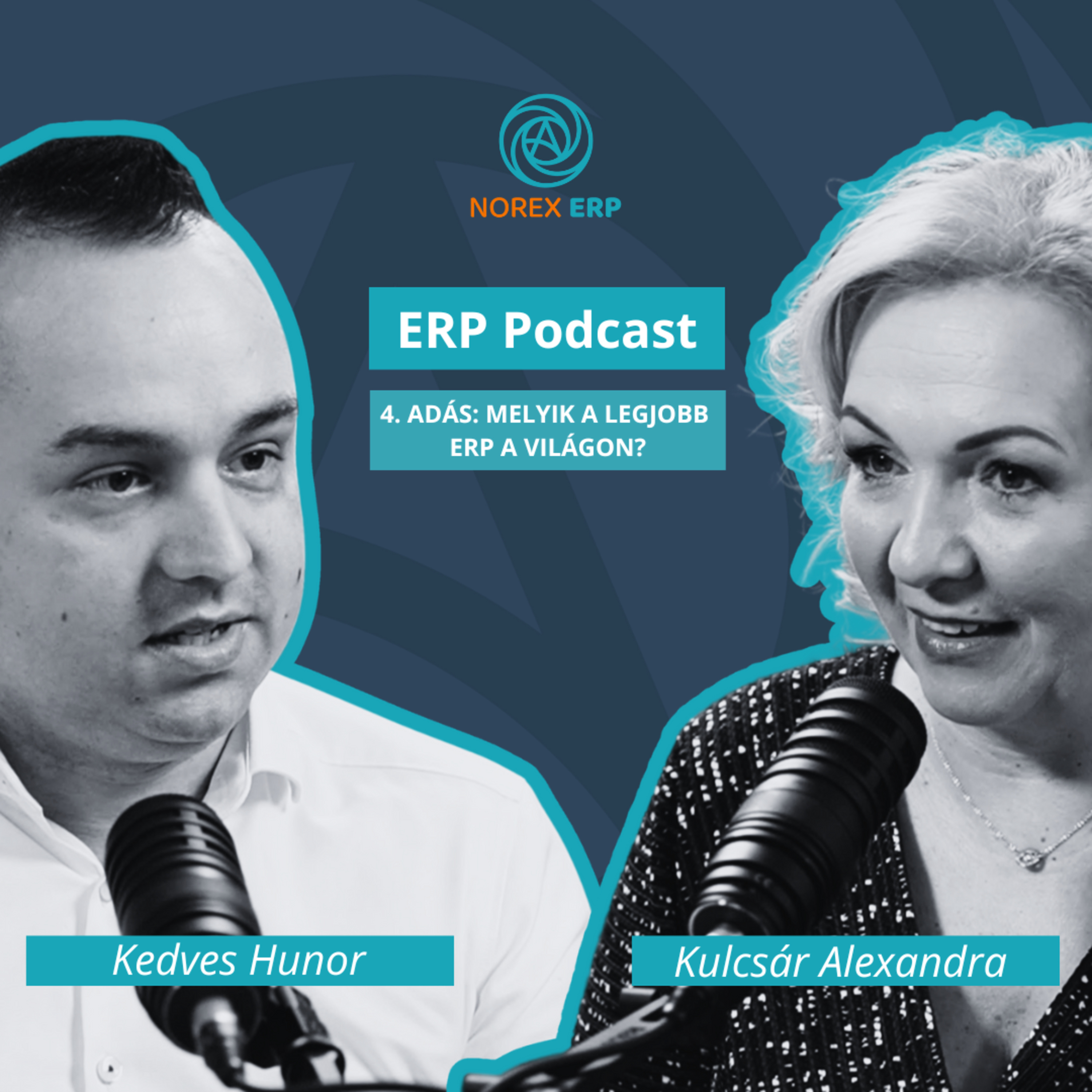 ERP Podcast