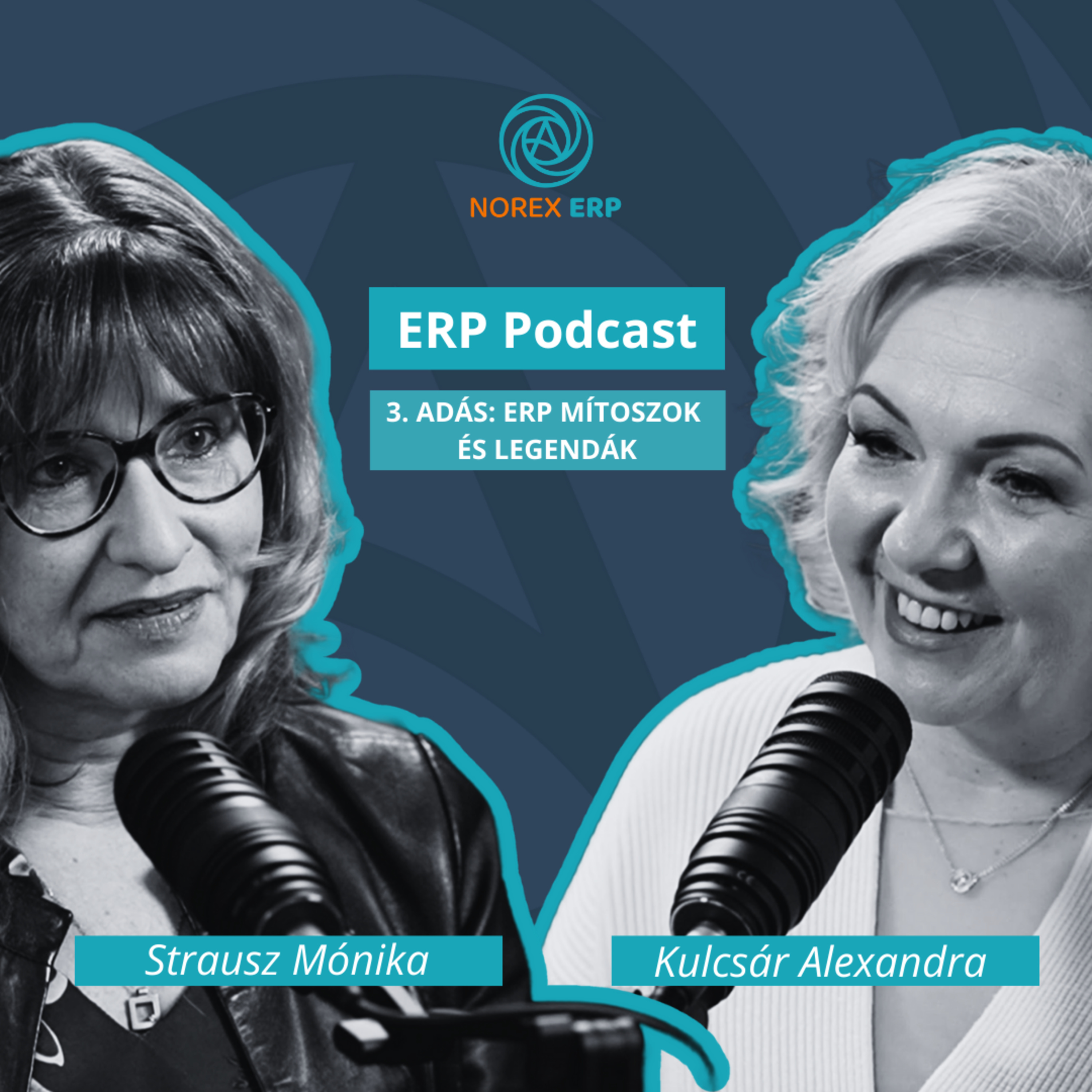 ERP Podcast