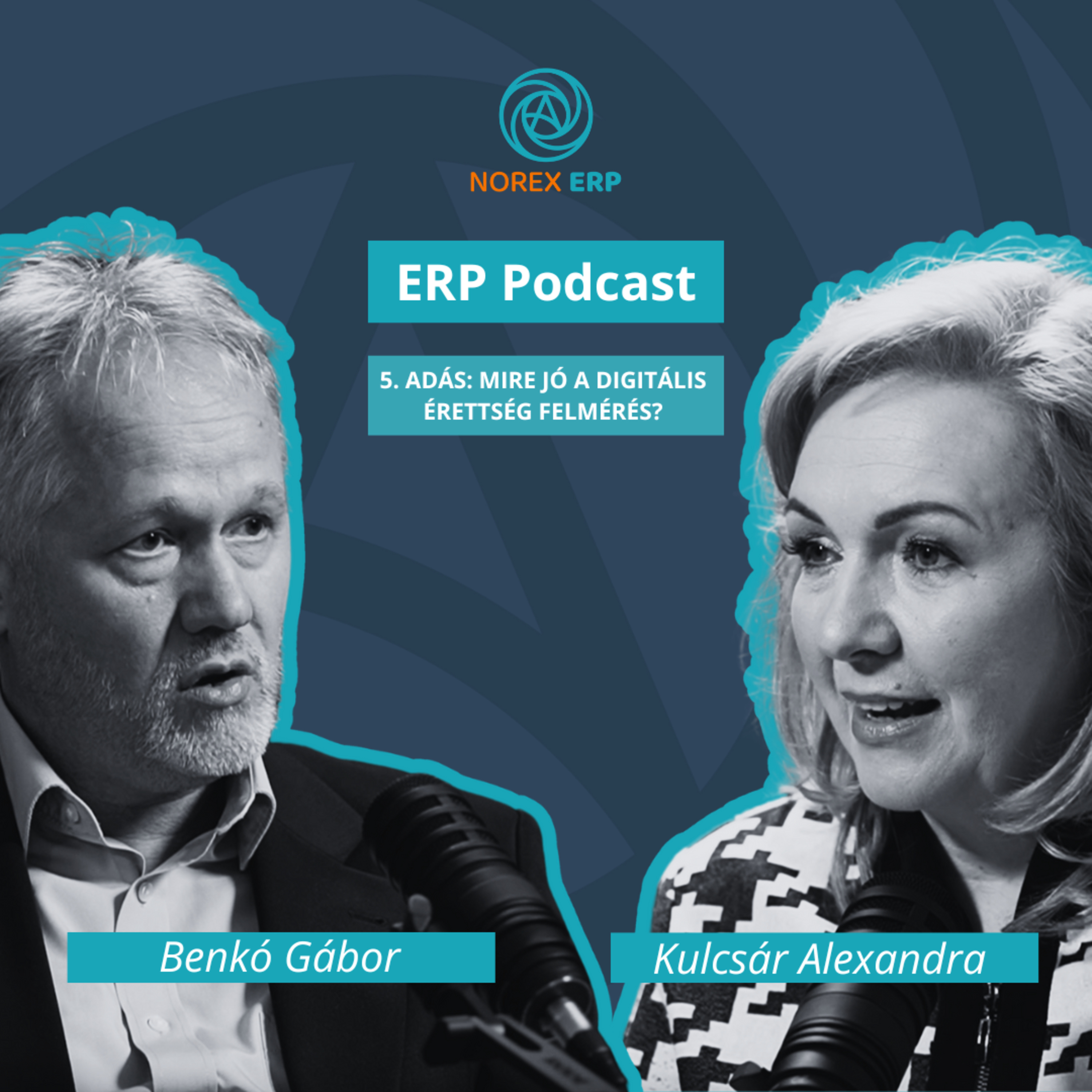 ERP Podcast