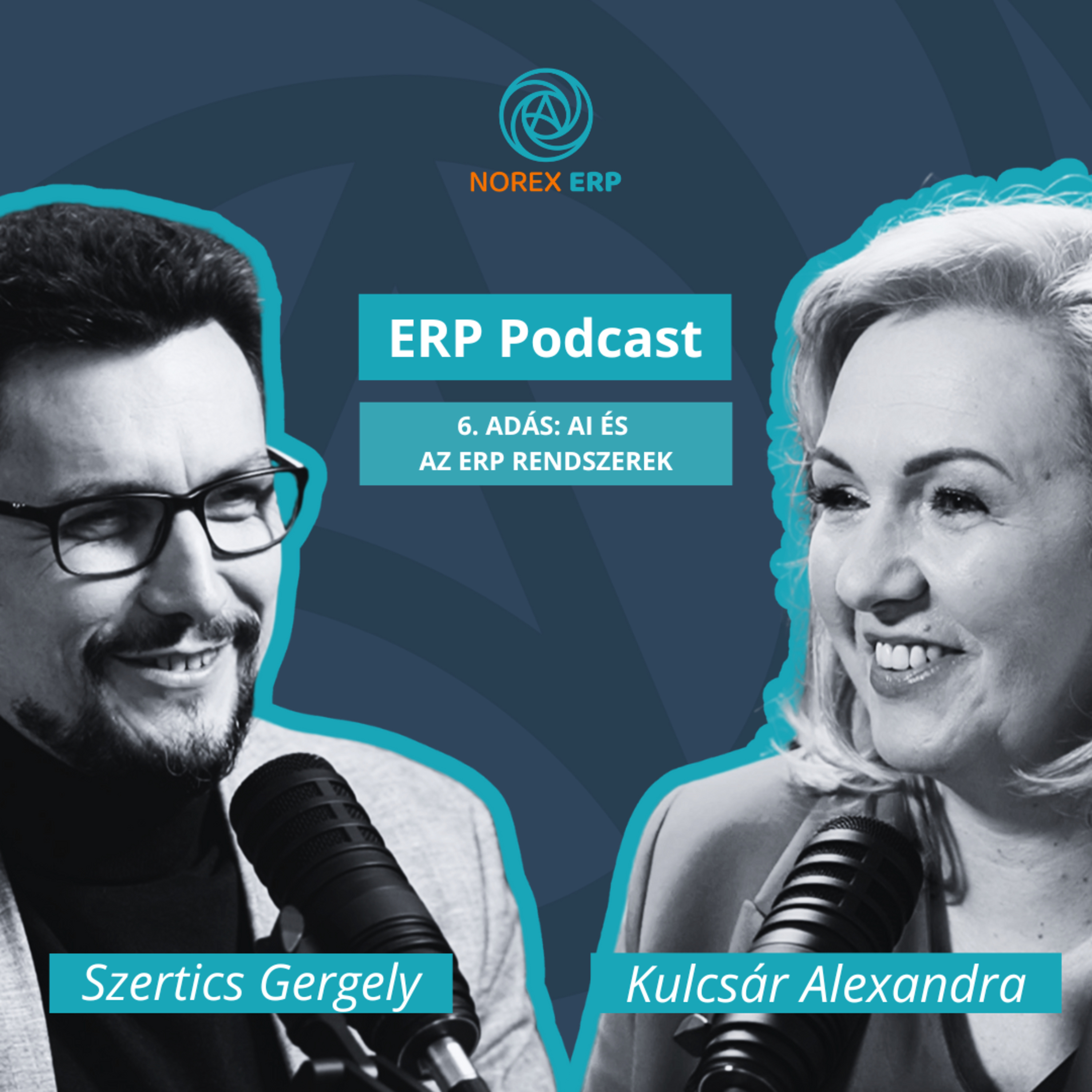 ERP Podcast