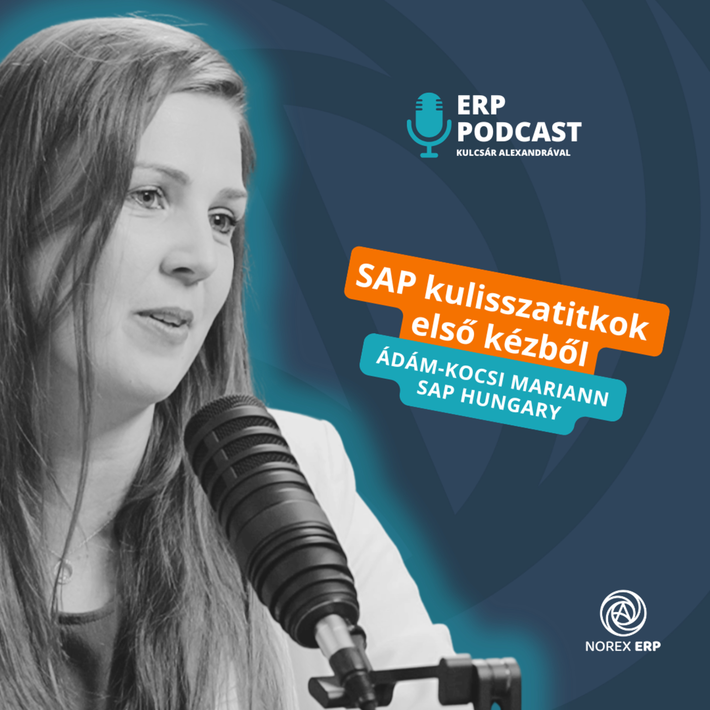 ERP Podcast